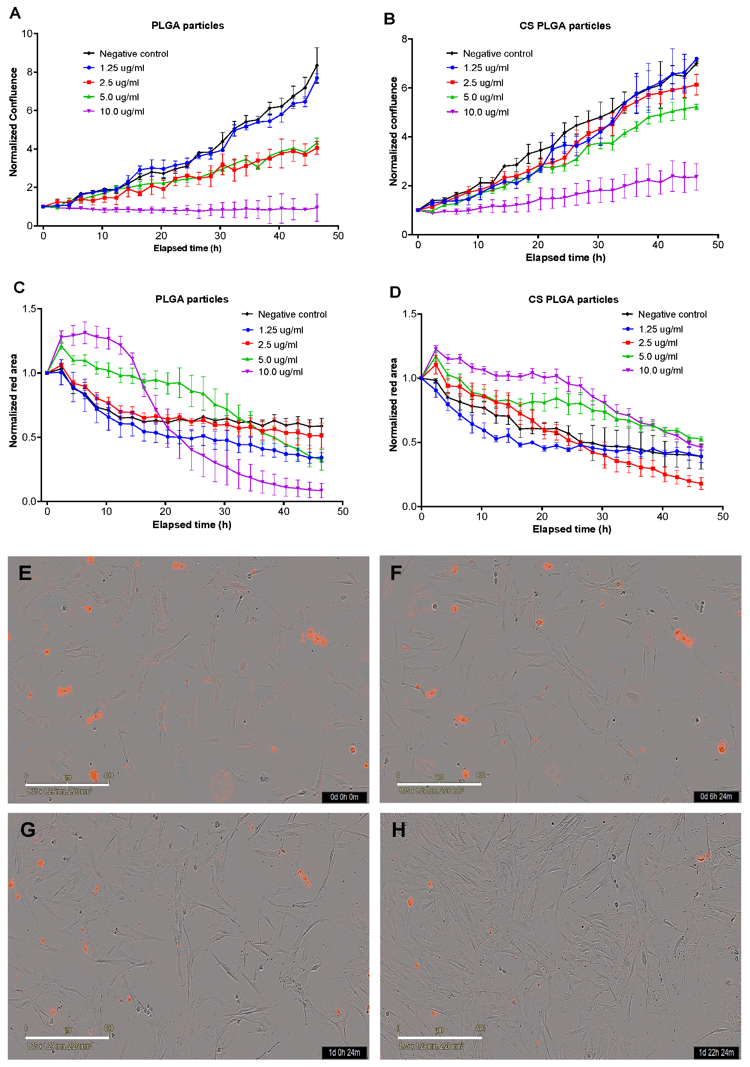 Pharmaceutics 14 02030 g011