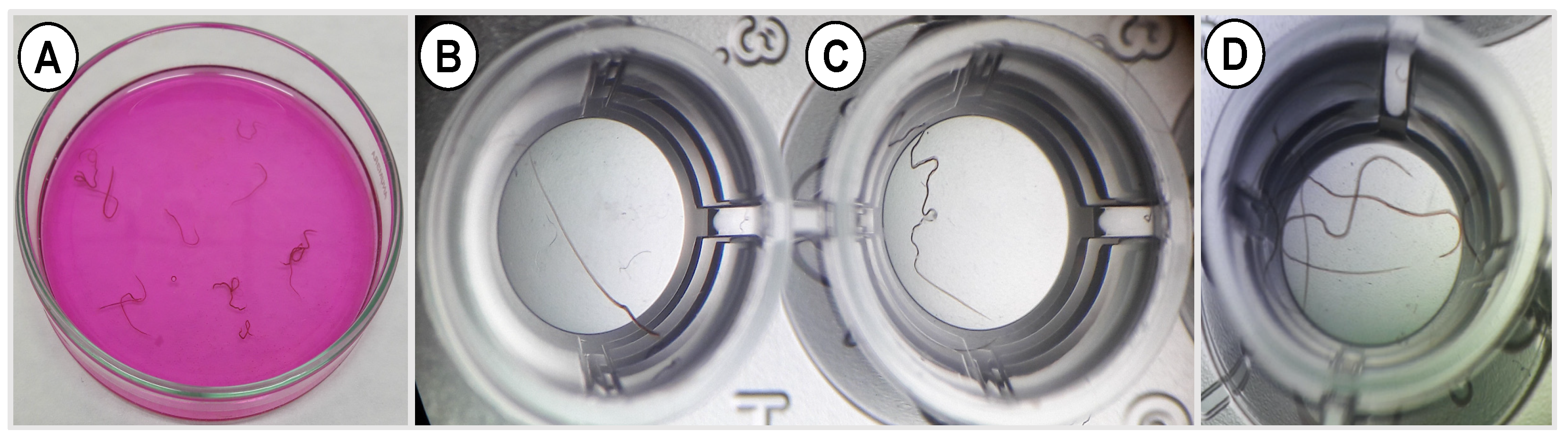 Pharmaceutics 14 02030 g014