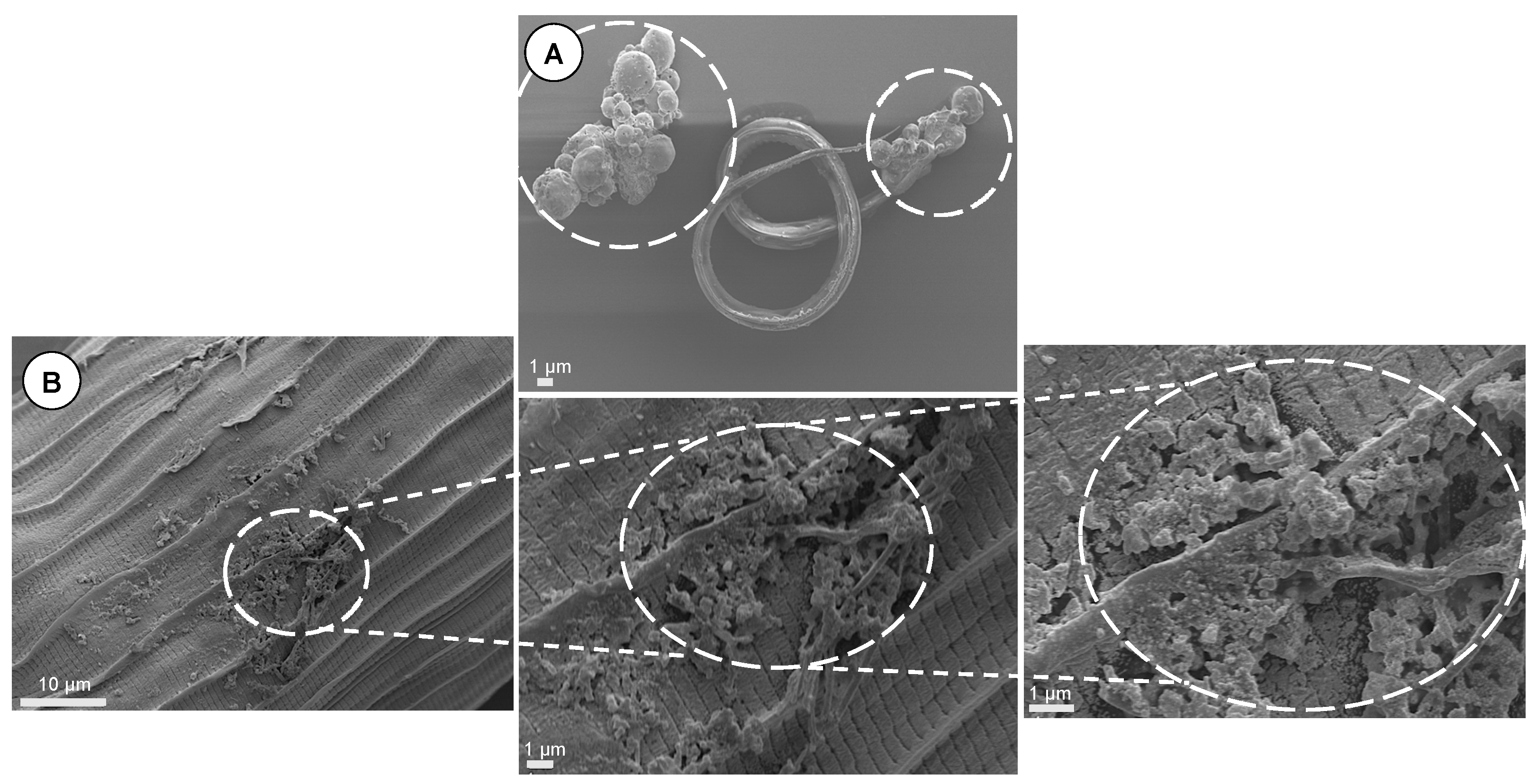 Pharmaceutics 14 02030 g015