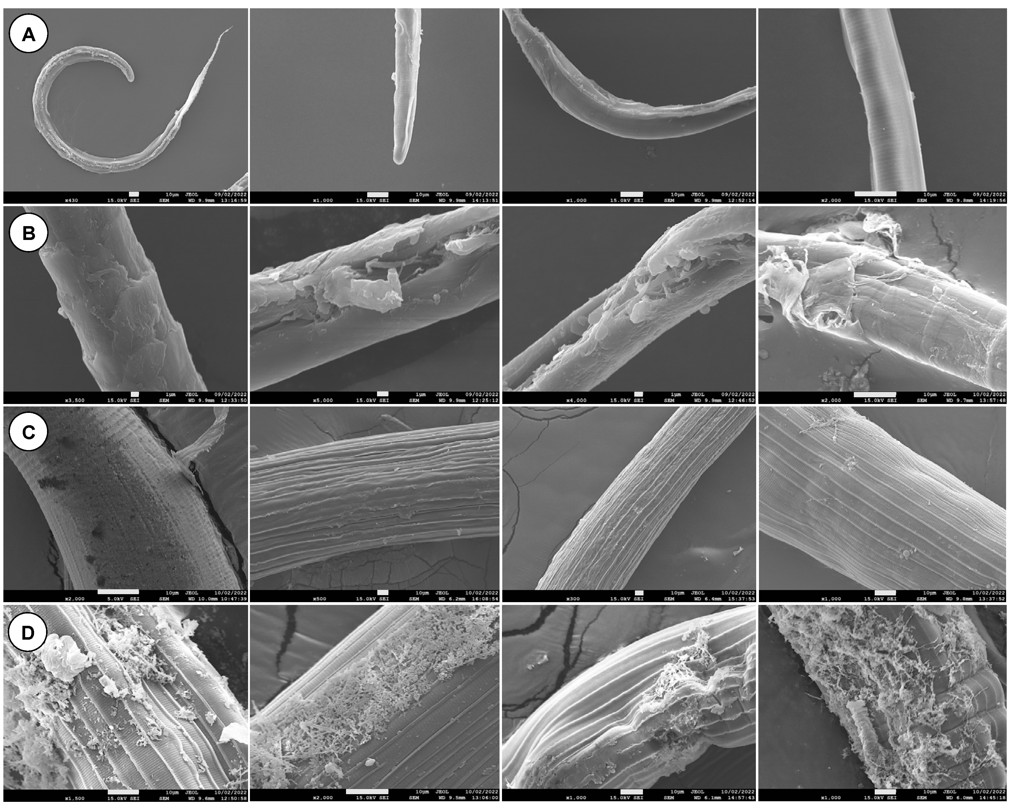 Pharmaceutics 14 02030 g016