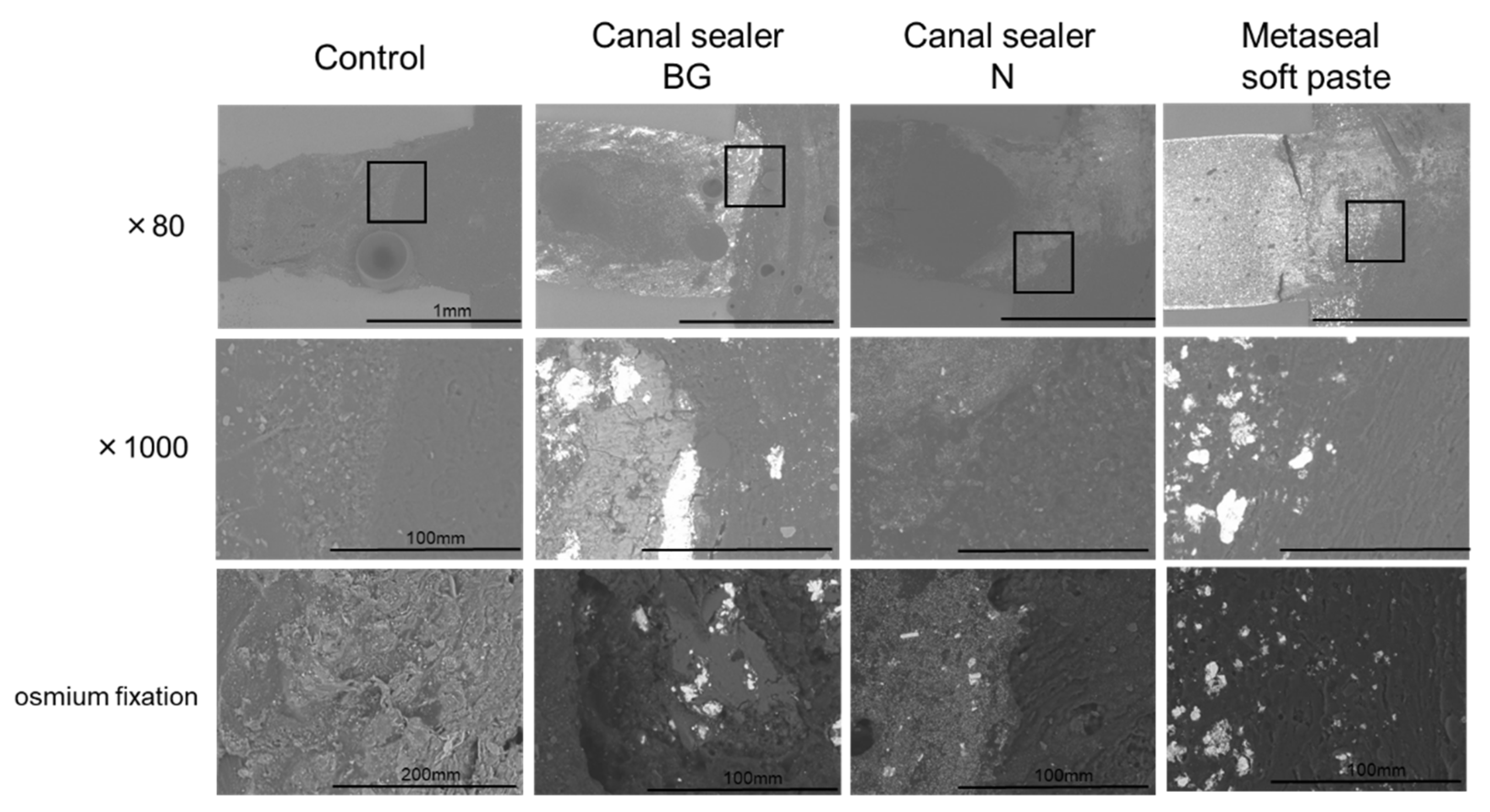 Pharmaceutics 14 02038 g003