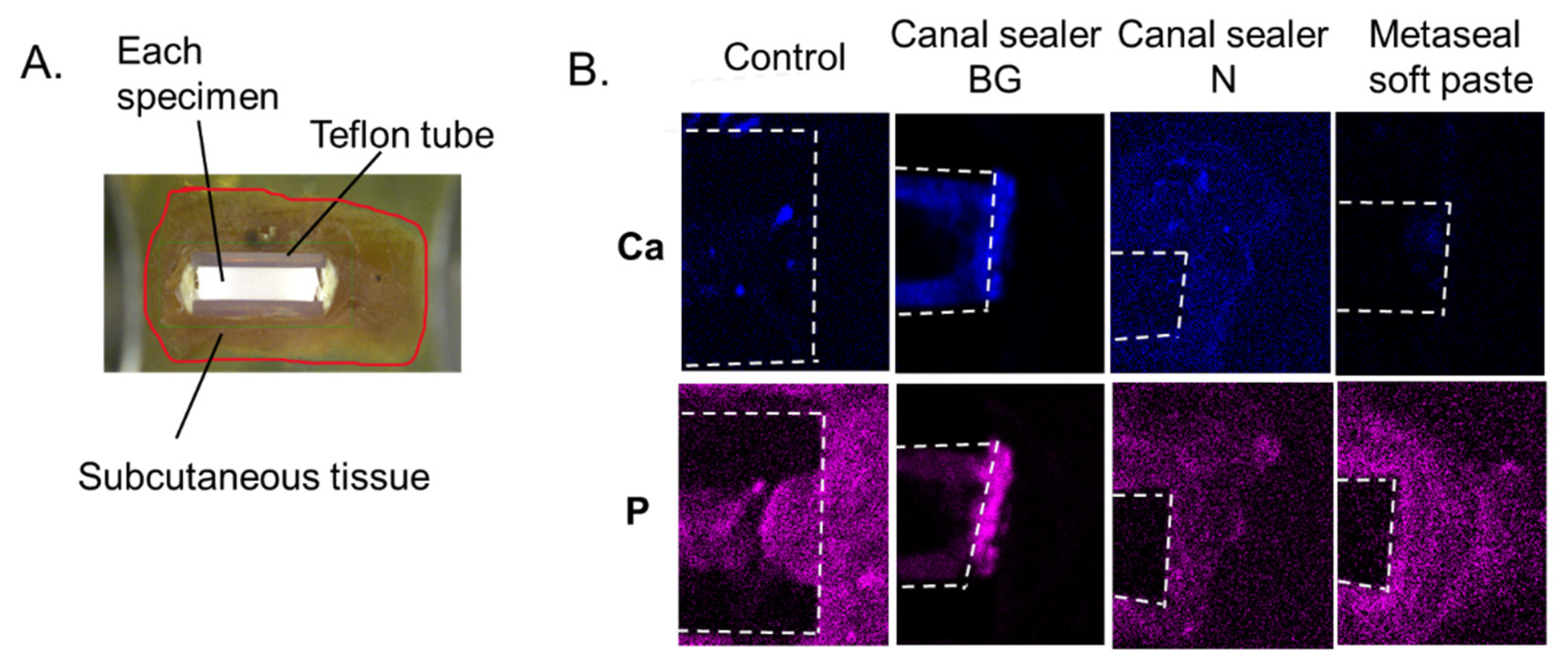 Pharmaceutics 14 02038 g004