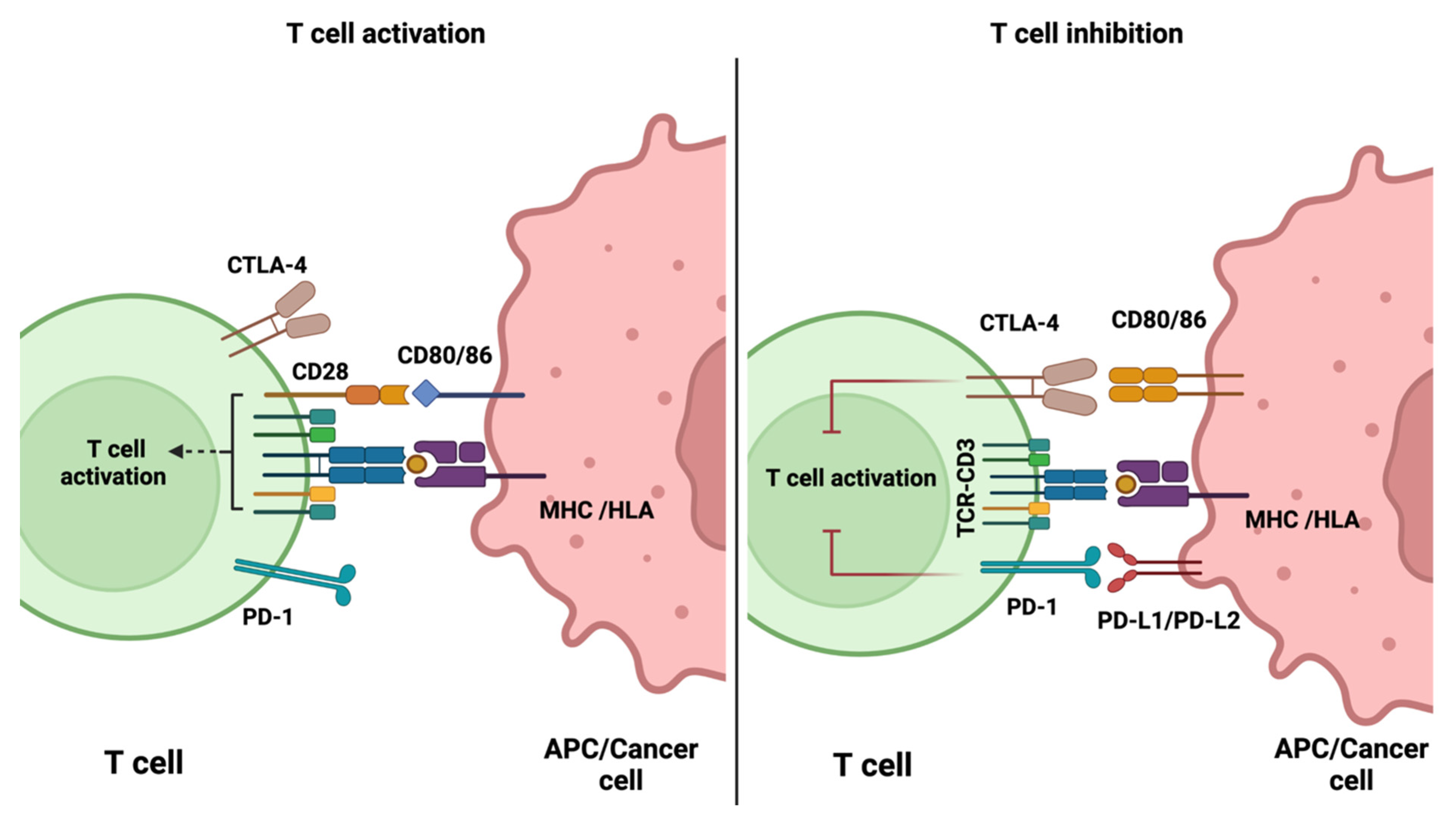 Pharmaceutics 14 02040 g001 Pharmaceutics 14 02040 g001