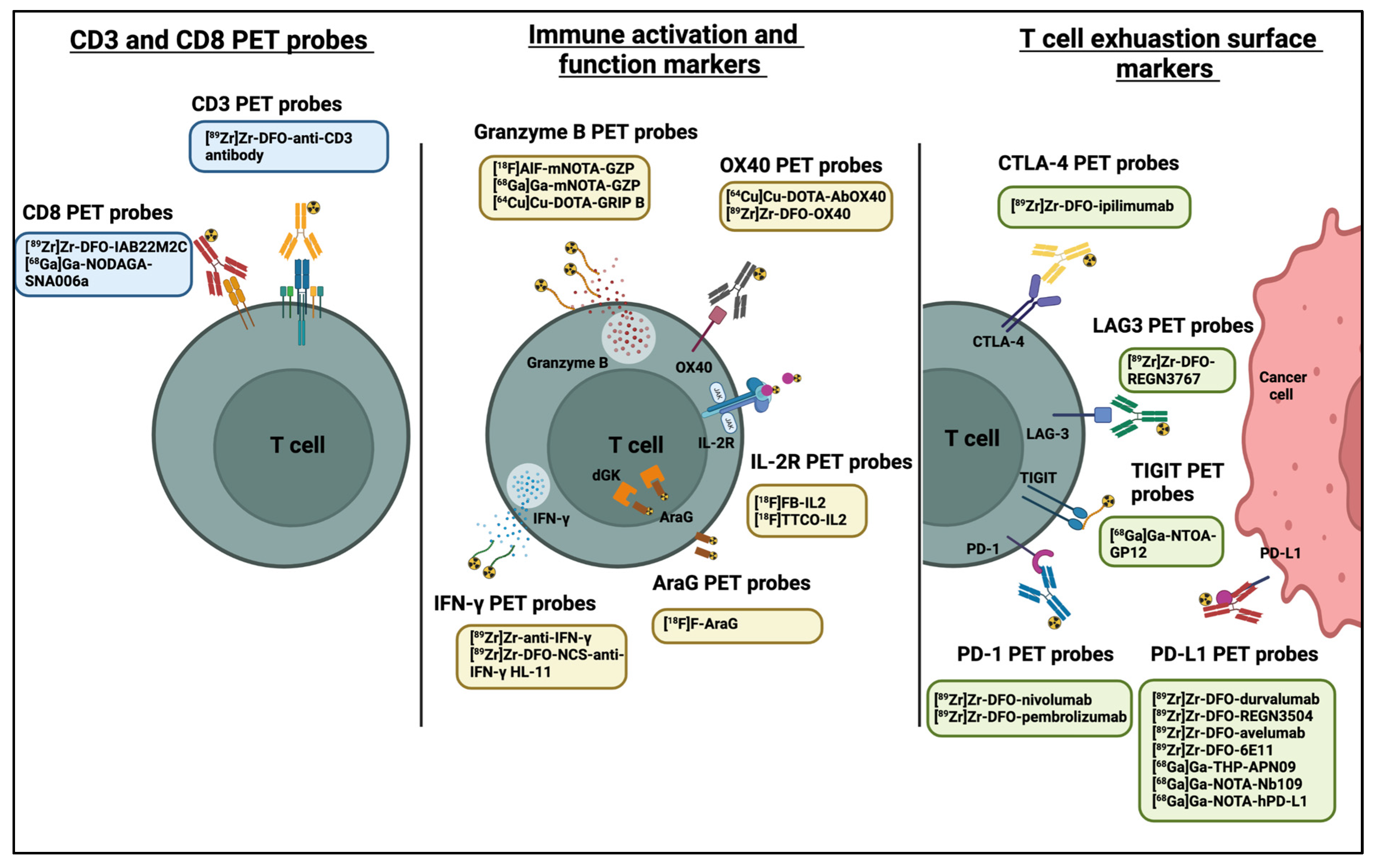Pharmaceutics 14 02040 g003 Pharmaceutics 14 02040 g003