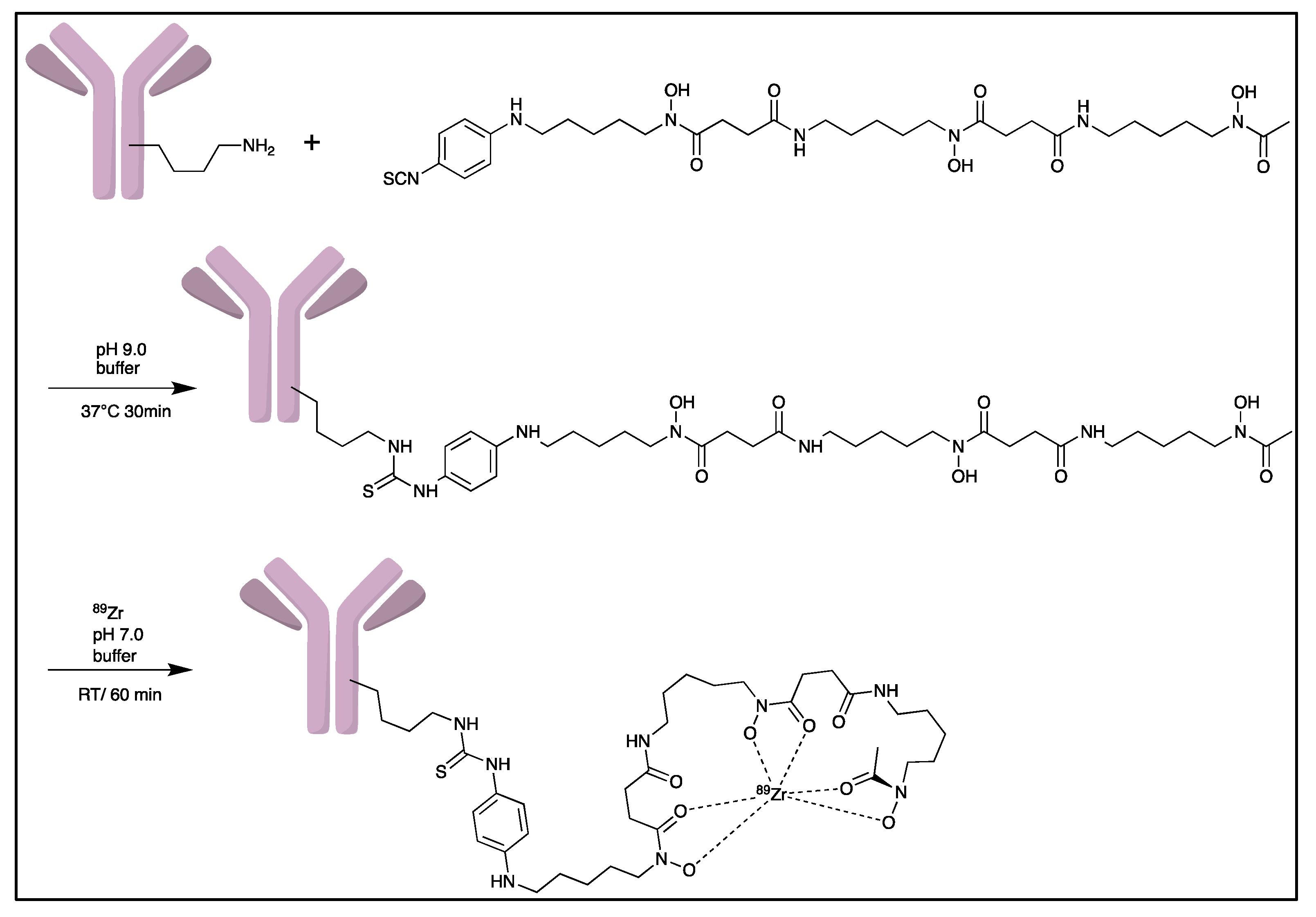 Pharmaceutics 14 02040 g004 Pharmaceutics 14 02040 g004