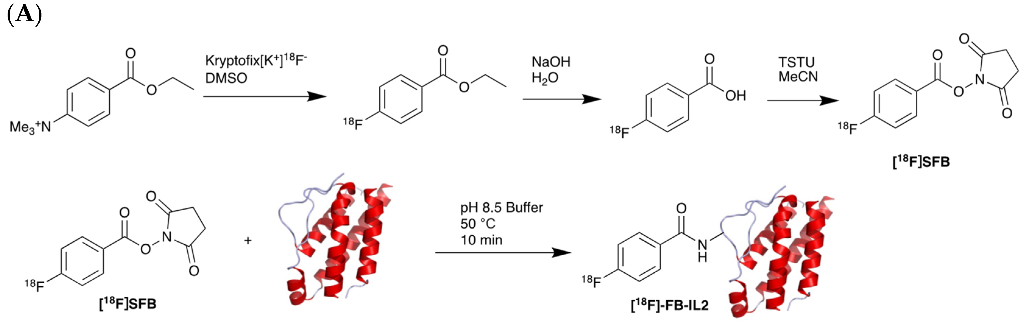 Pharmaceutics 14 02040 g007a Pharmaceutics 14 02040 g007a