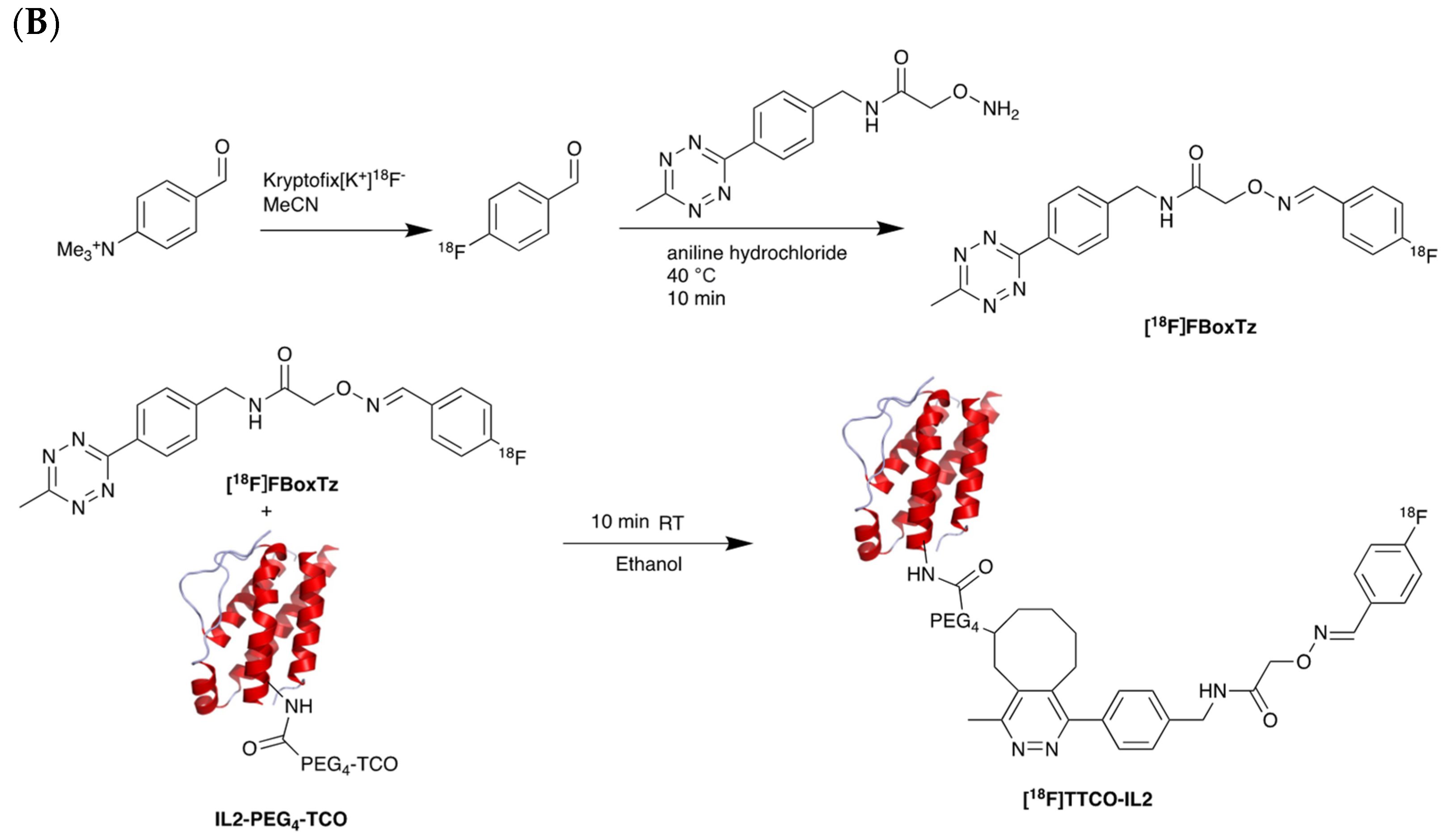 Pharmaceutics 14 02040 g007b Pharmaceutics 14 02040 g007b