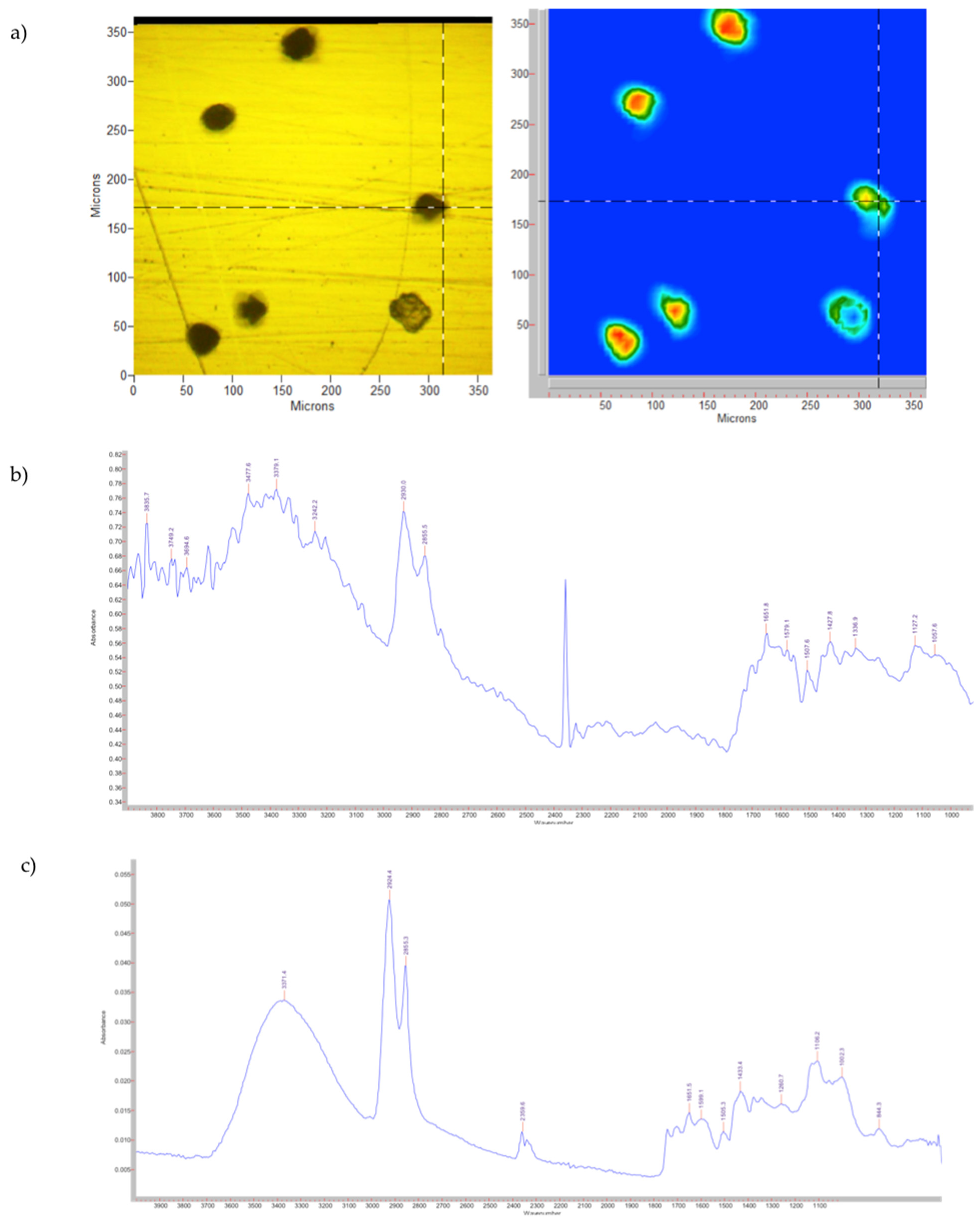 Pharmaceutics 14 02041 g002 550
