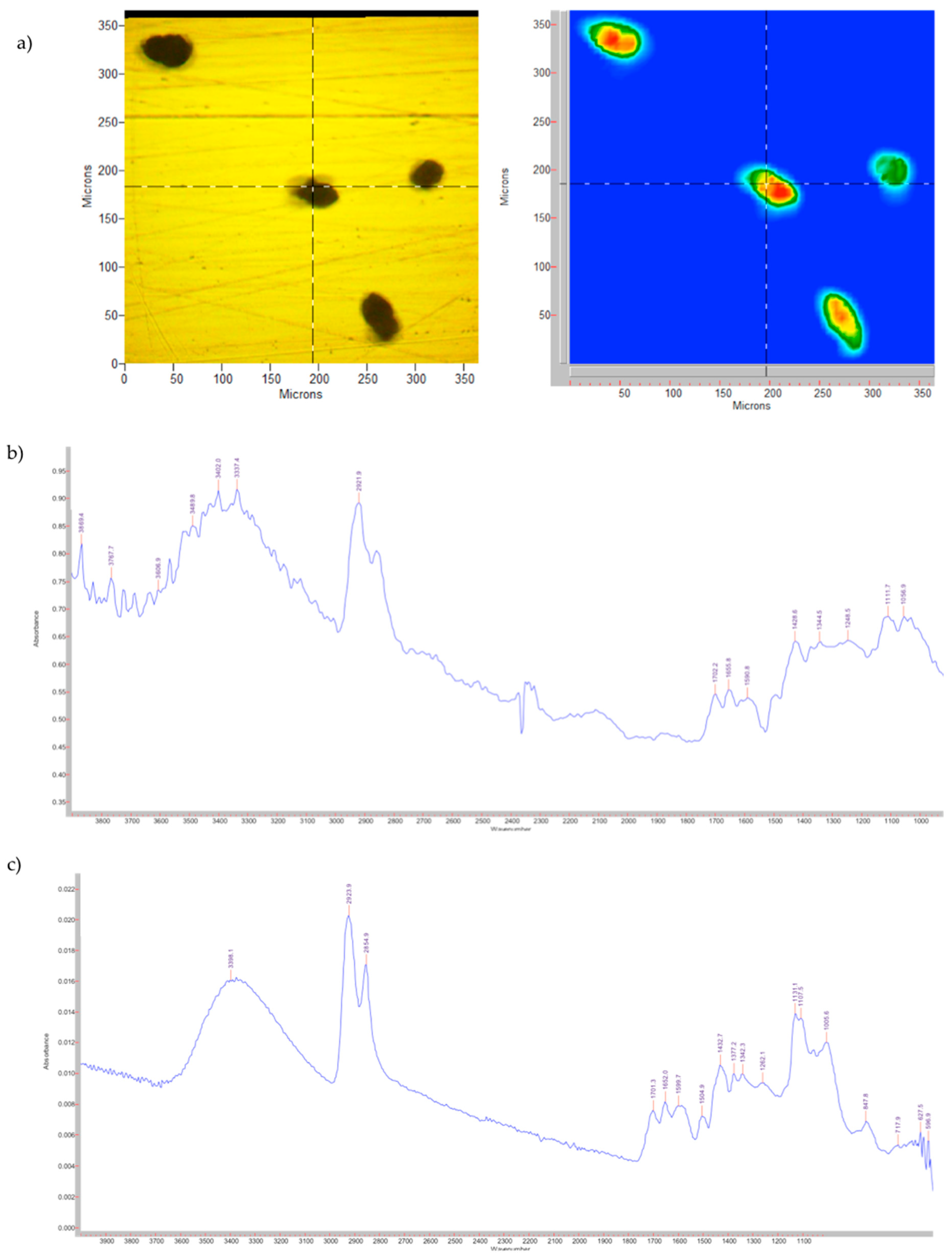Pharmaceutics 14 02041 g005 550