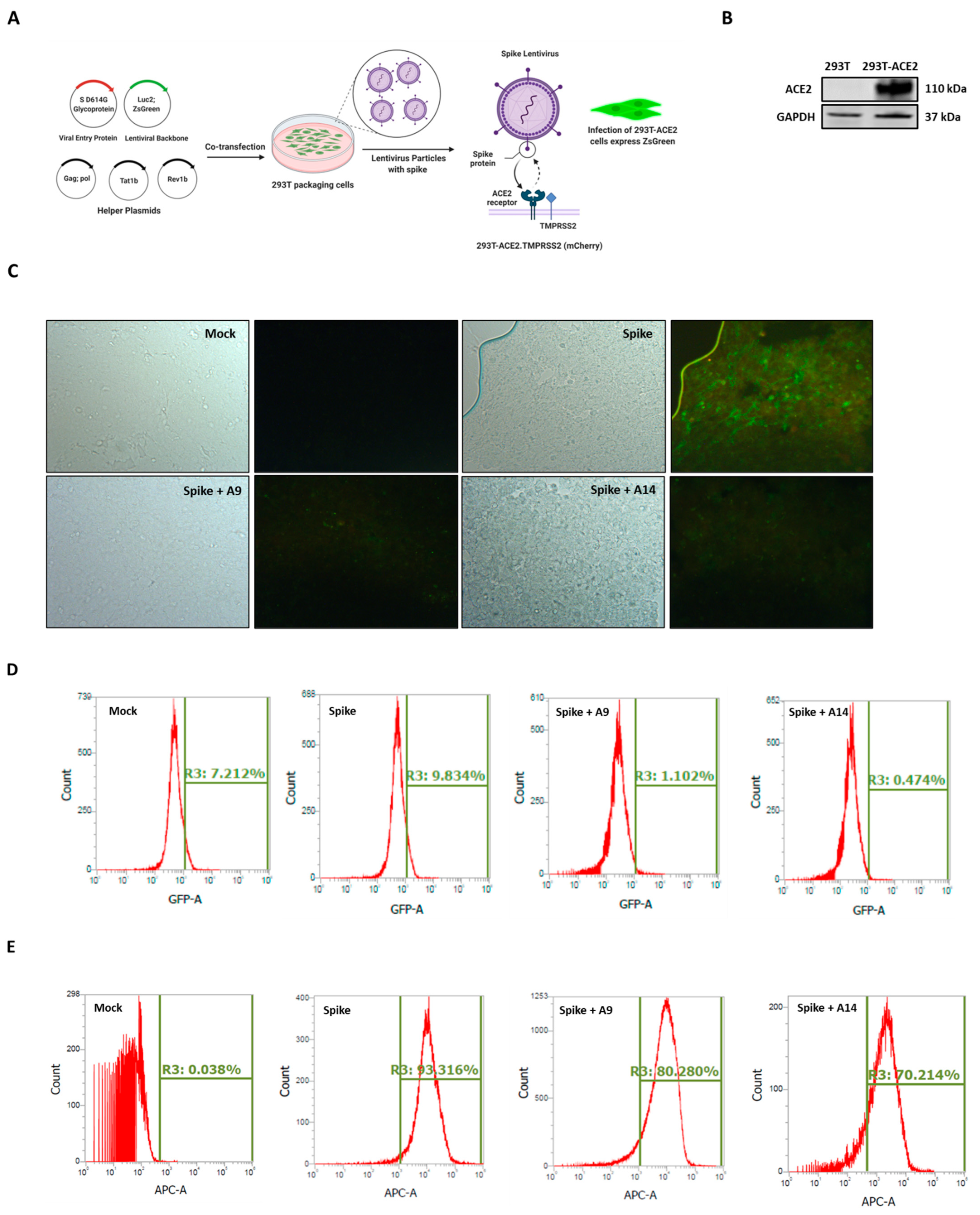 Pharmaceutics 14 02045 g007