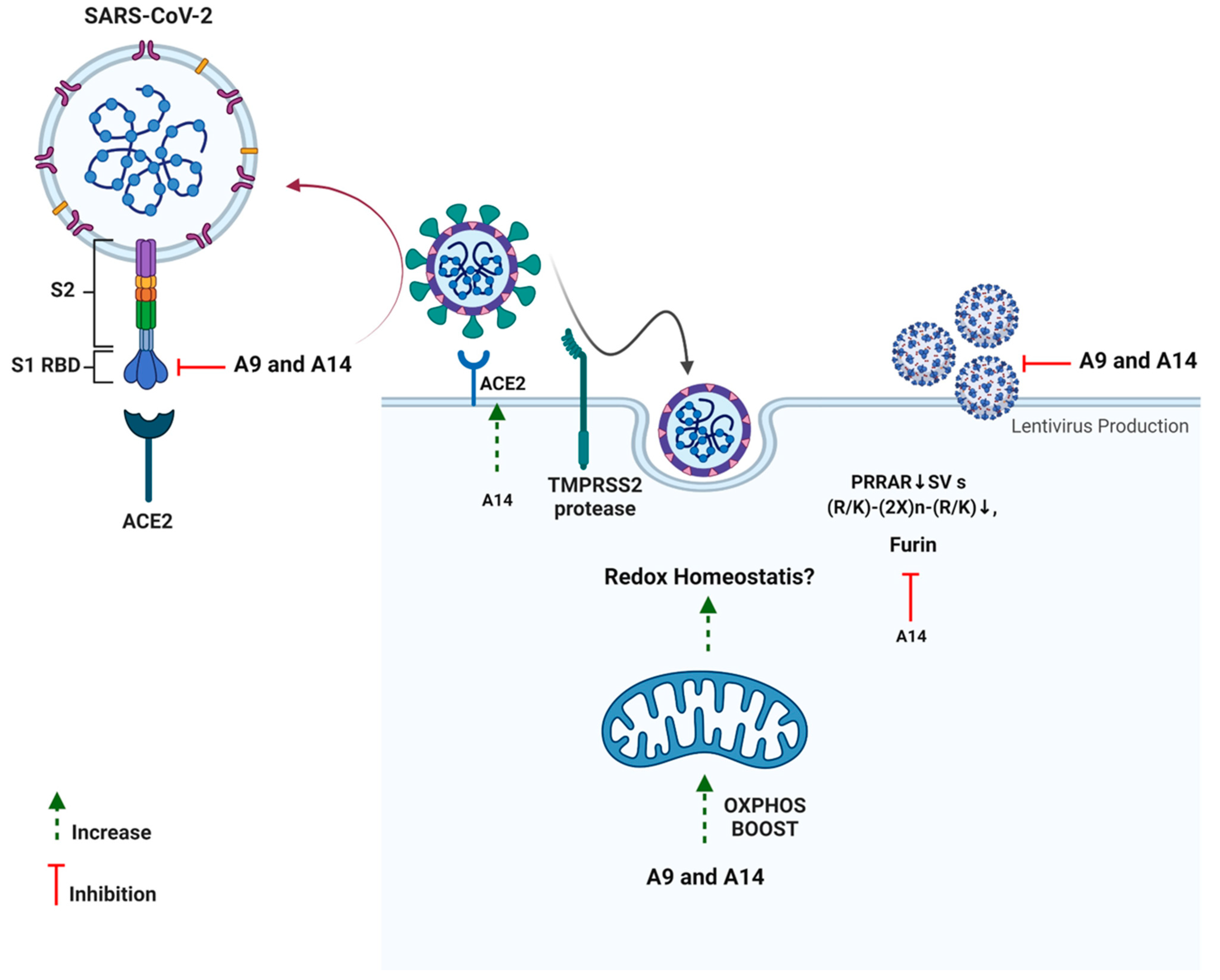 Pharmaceutics 14 02045 g009