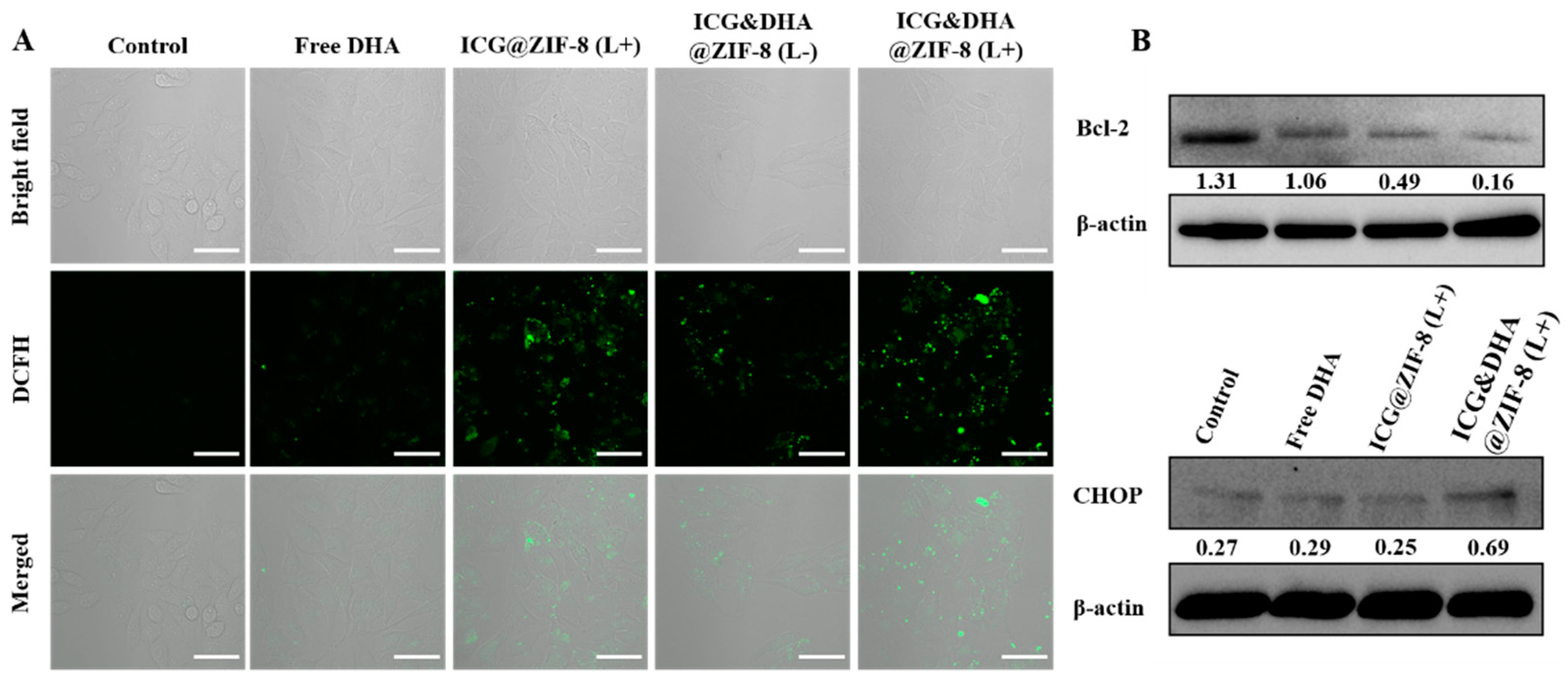 Pharmaceutics 14 02047 g004