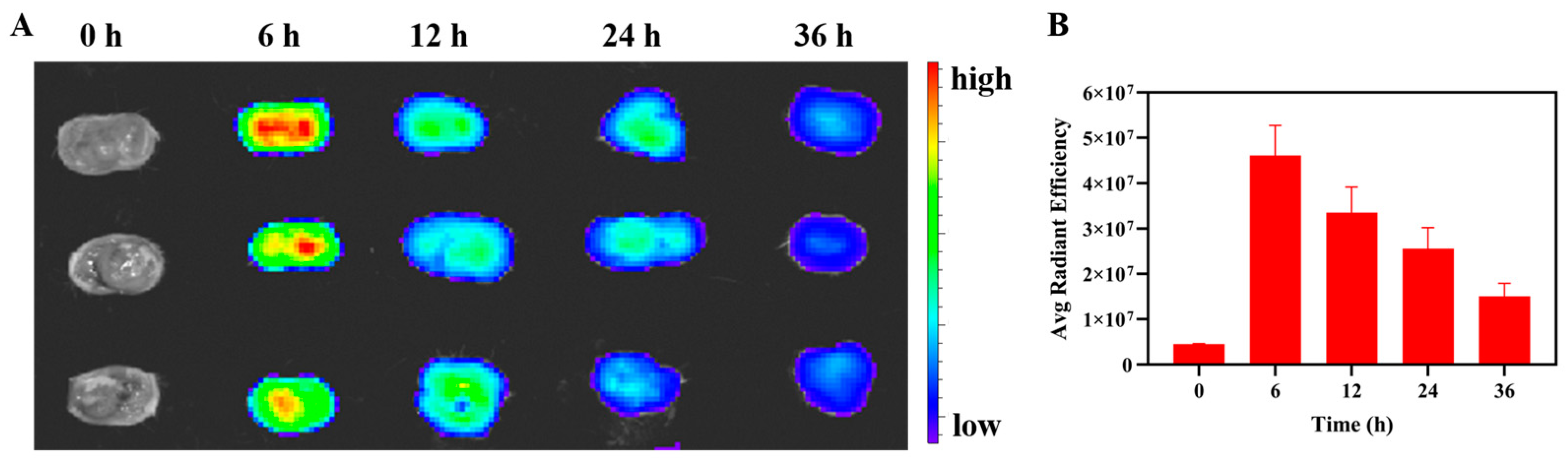 Pharmaceutics 14 02047 g005