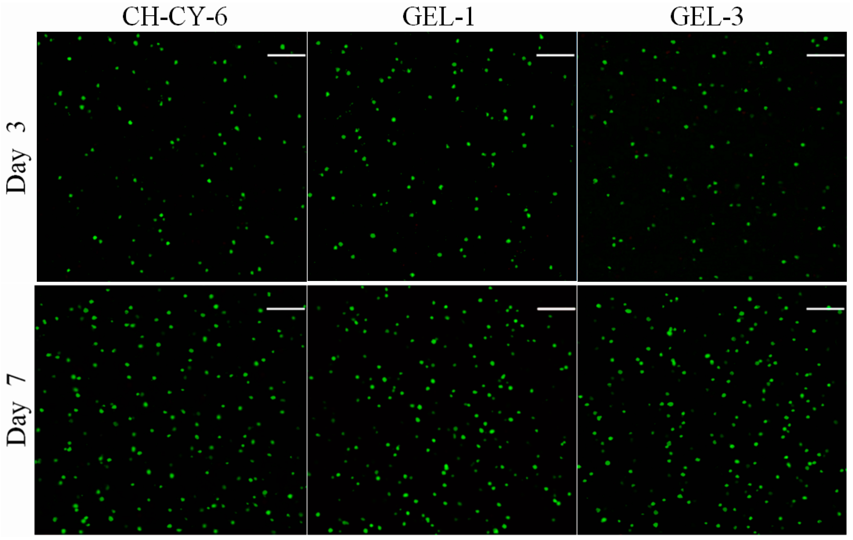 Pharmaceutics 14 02048 g006