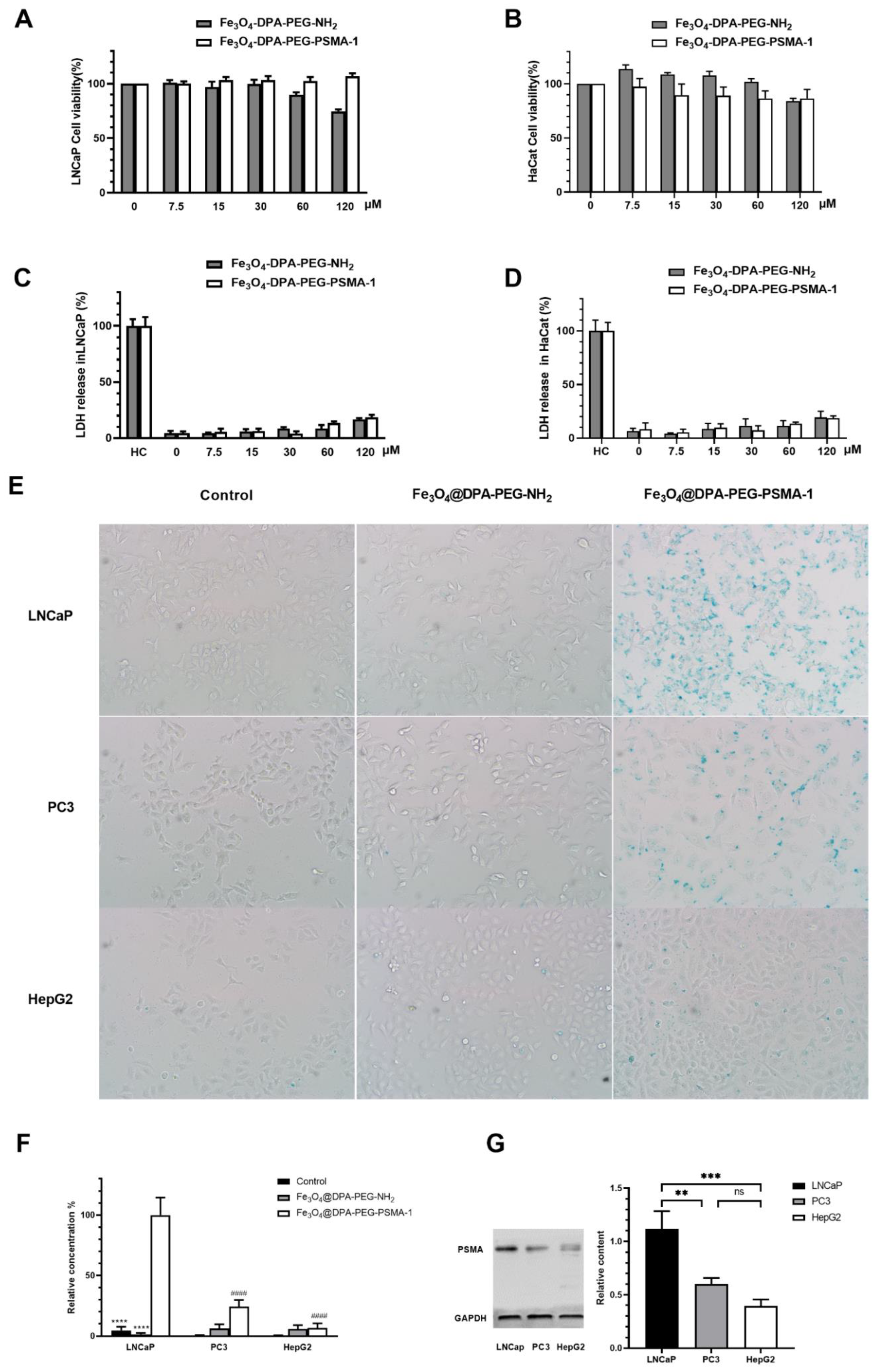 Pharmaceutics 14 02051 g004 Pharmaceutics 14 02051 g004