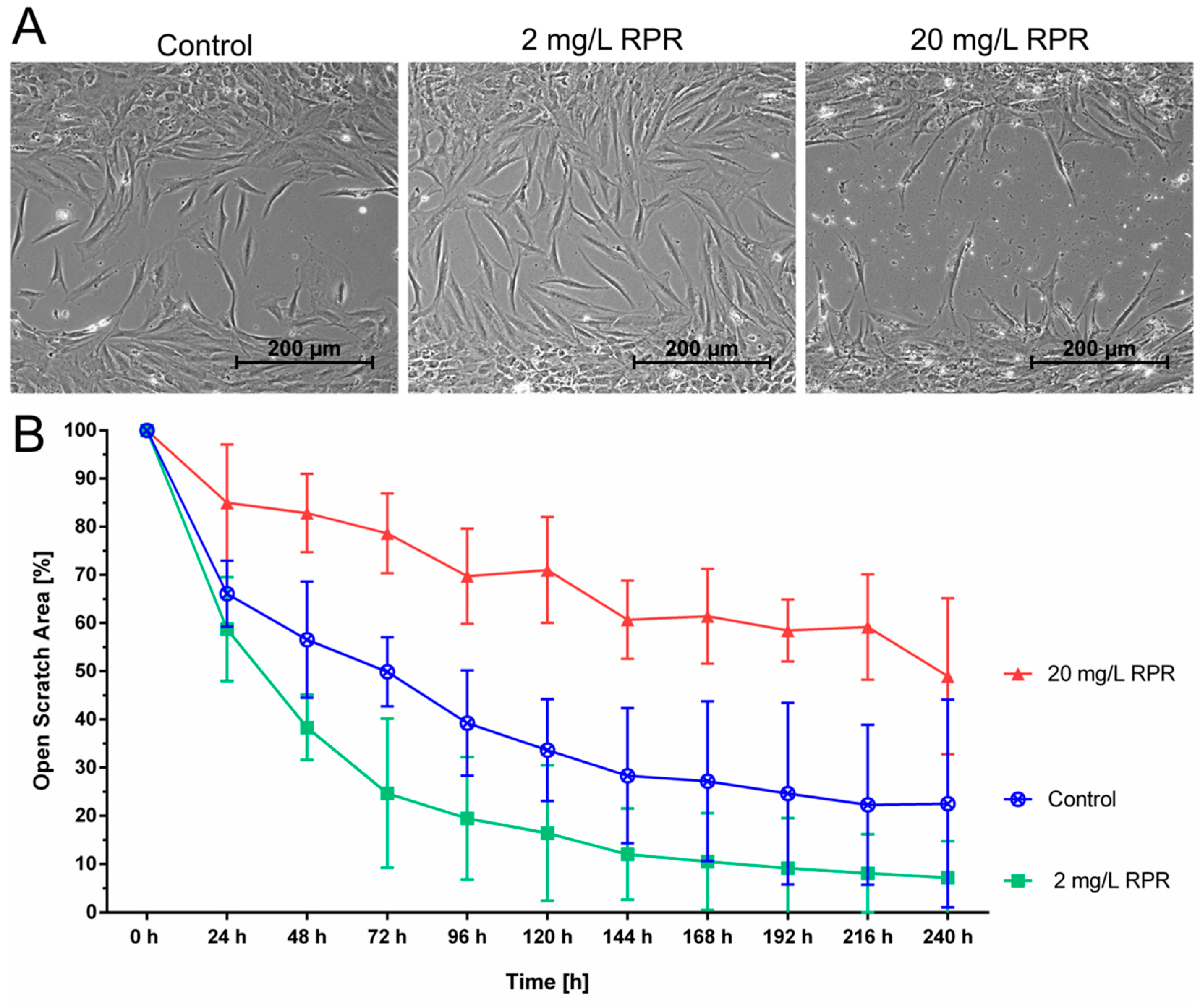 Pharmaceutics 14 02060 g004