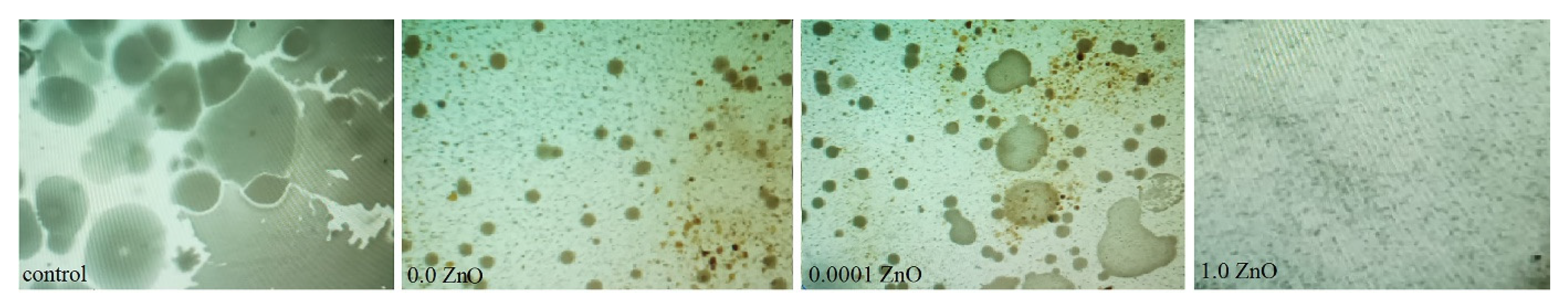 Pharmaceutics 14 02063 g005 Pharmaceutics 14 02063 g005