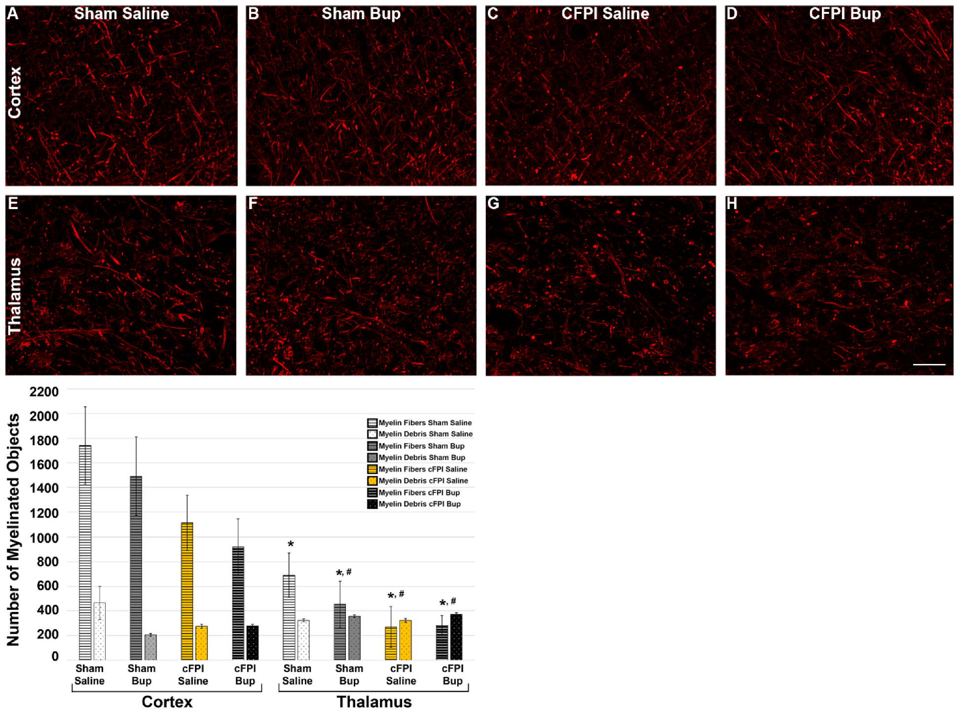 Pharmaceutics 14 02068 g006