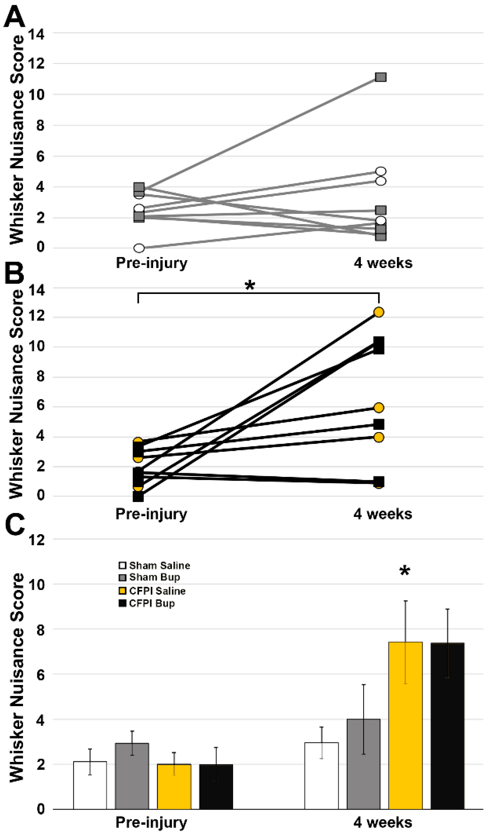 Pharmaceutics Free FullText PostInjury Buprenorphine