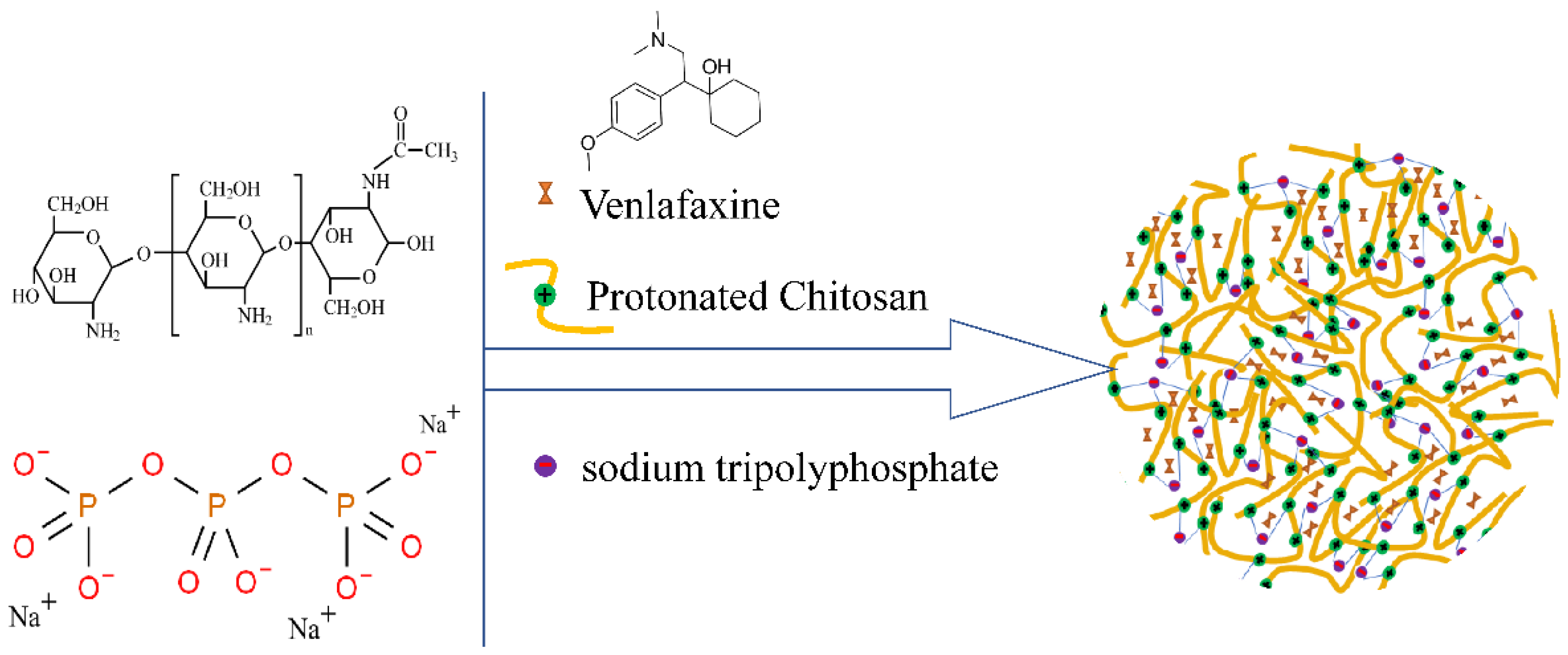Pharmaceutics 14 02070 g004 Pharmaceutics 14 02070 g004