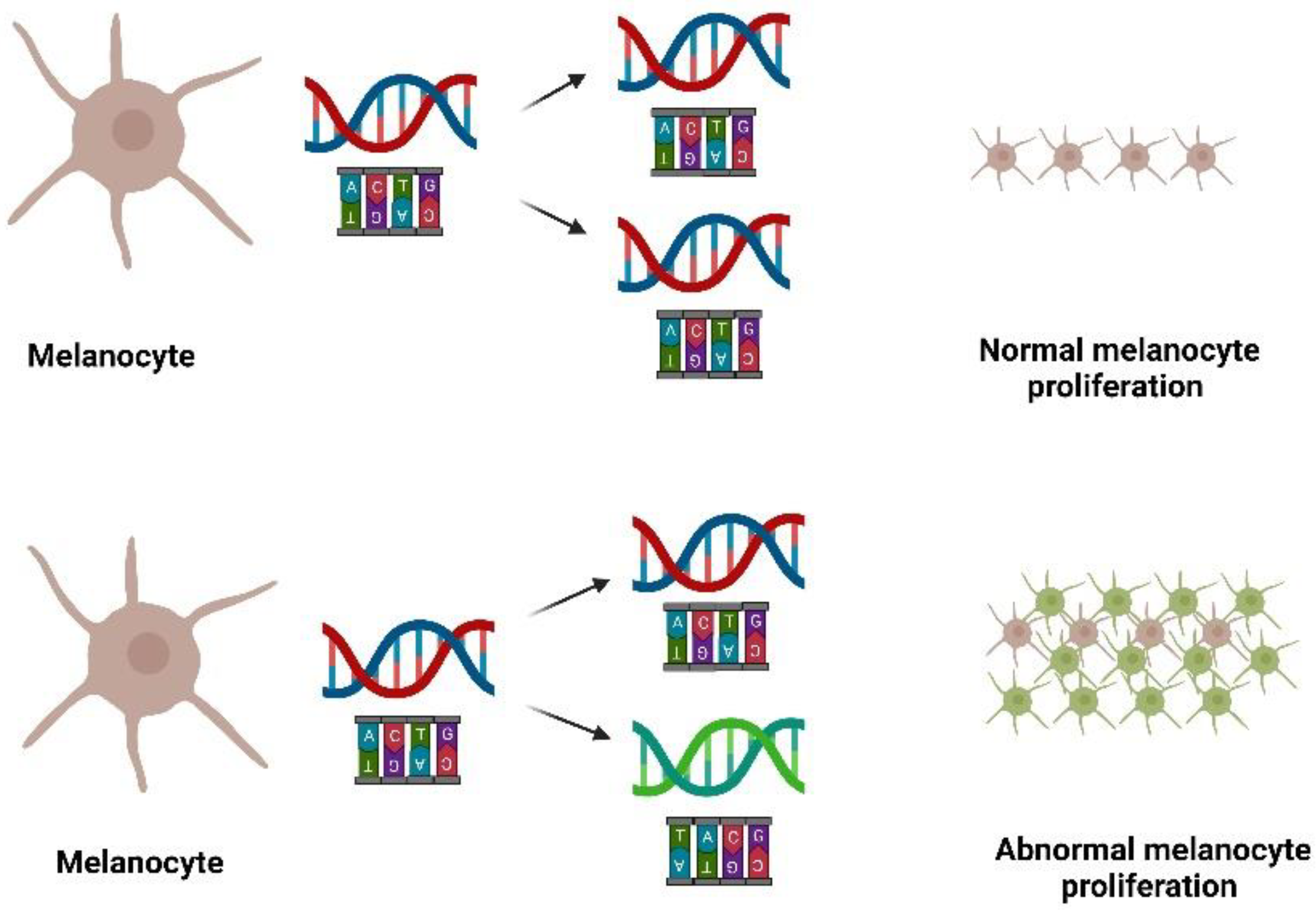 Pharmaceutics 14 02076 g001 Pharmaceutics 14 02076 g001