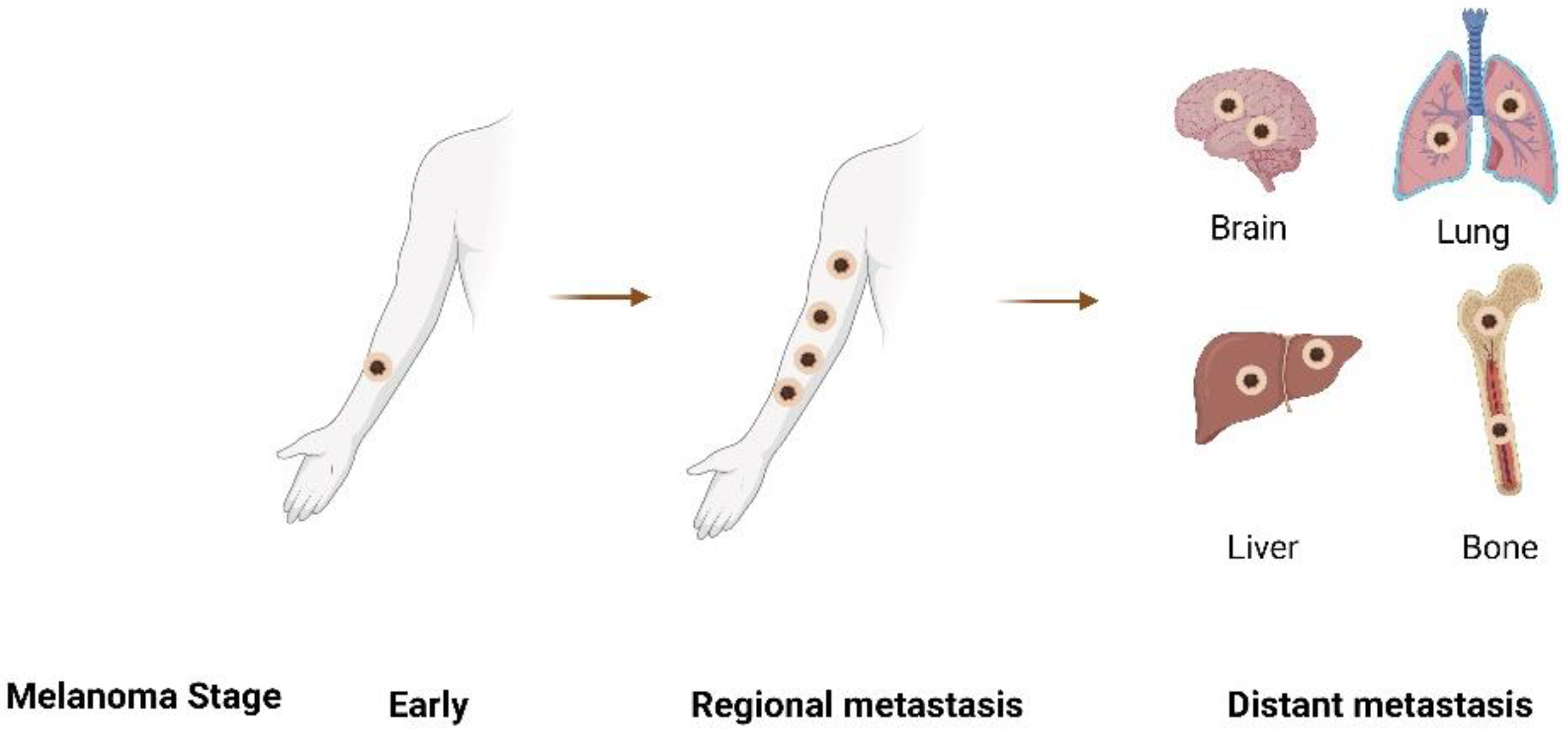 Pharmaceutics 14 02076 g002 Pharmaceutics 14 02076 g002