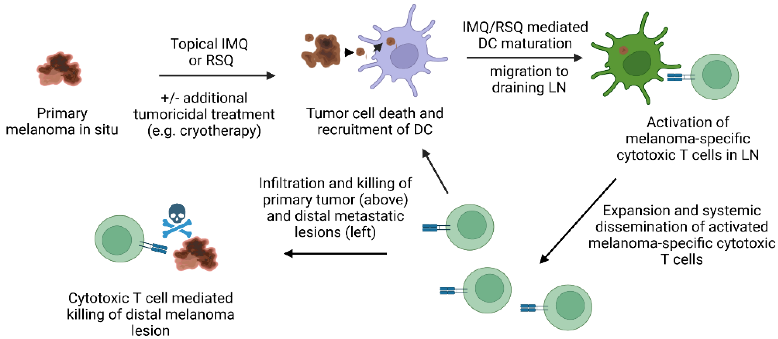 Pharmaceutics 14 02076 g003 Pharmaceutics 14 02076 g003