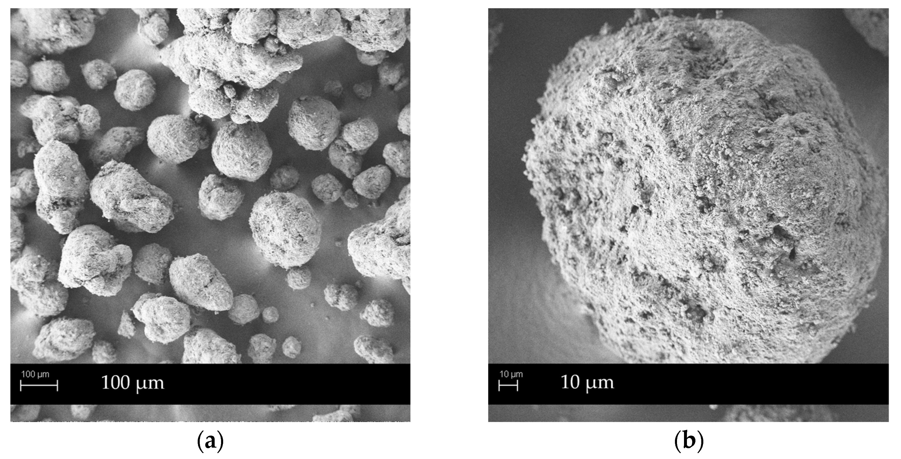 Pharmaceutics 14 02077 g003