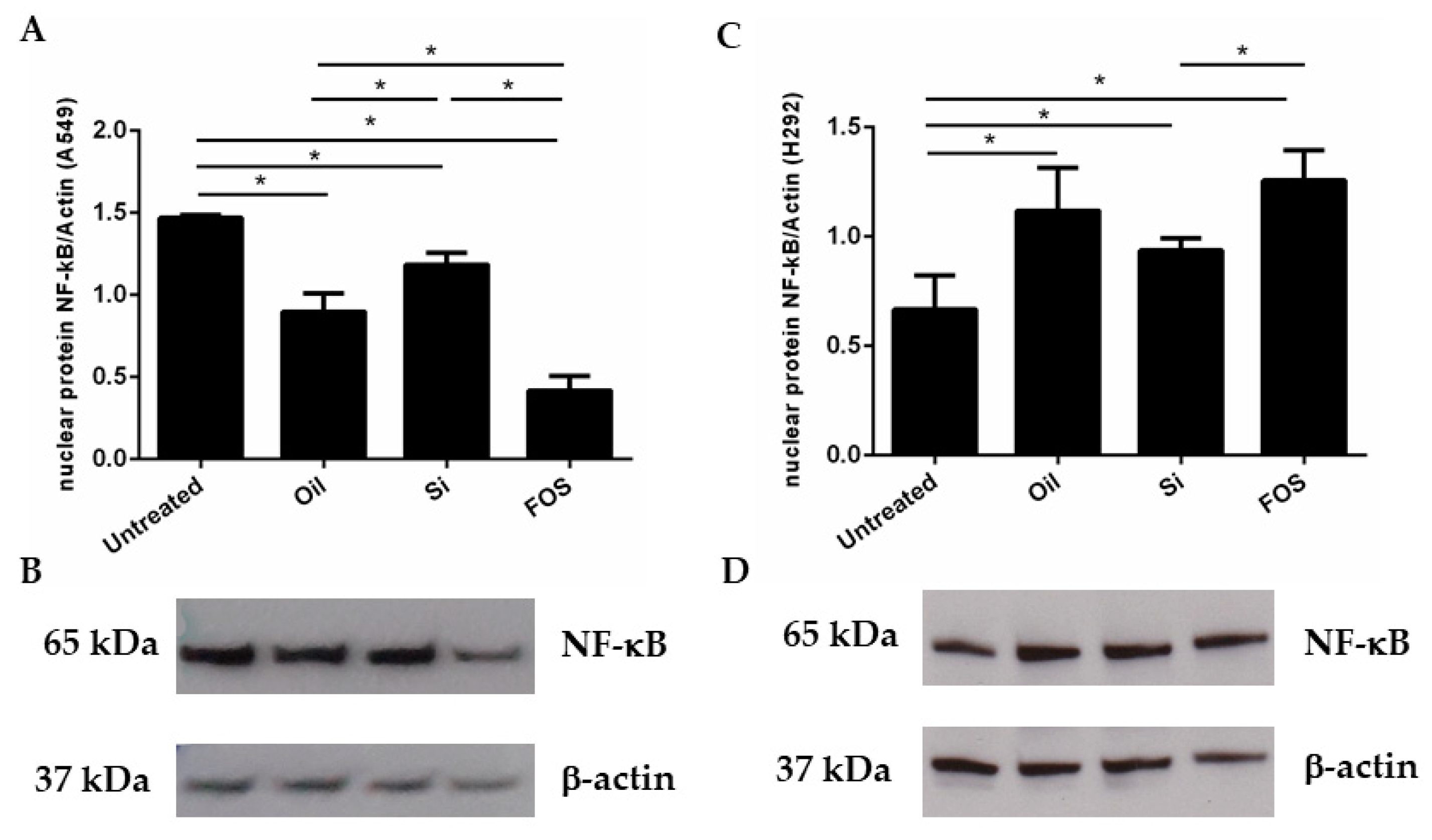 Pharmaceutics 14 02079 g003 Pharmaceutics 14 02079 g003
