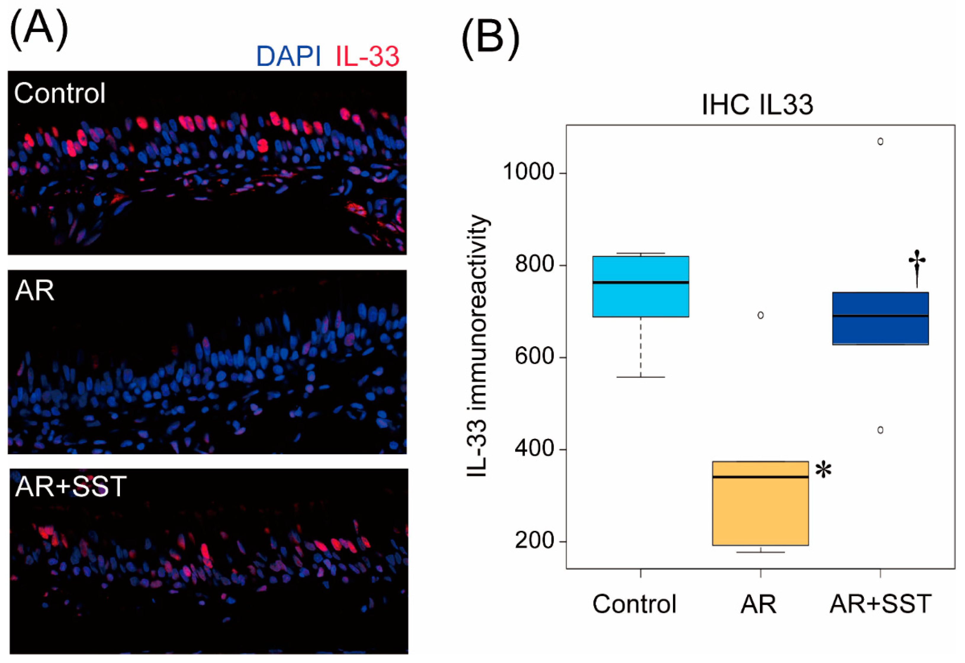 Pharmaceutics 14 02083 g004