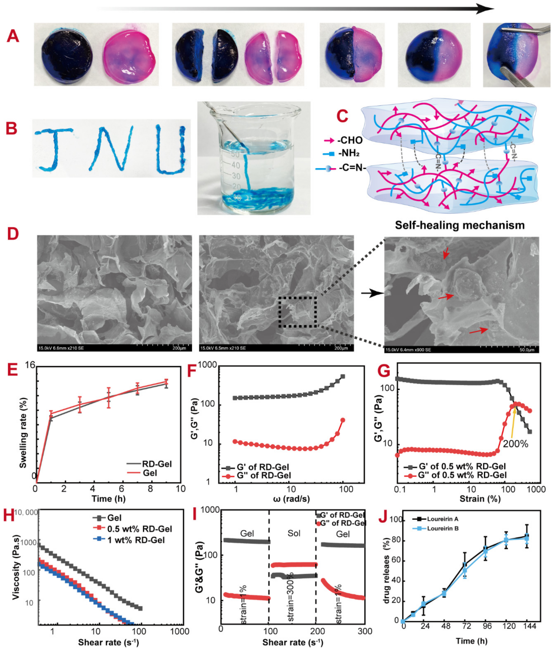 Pharmaceutics 14 02087 g002 Pharmaceutics 14 02087 g002