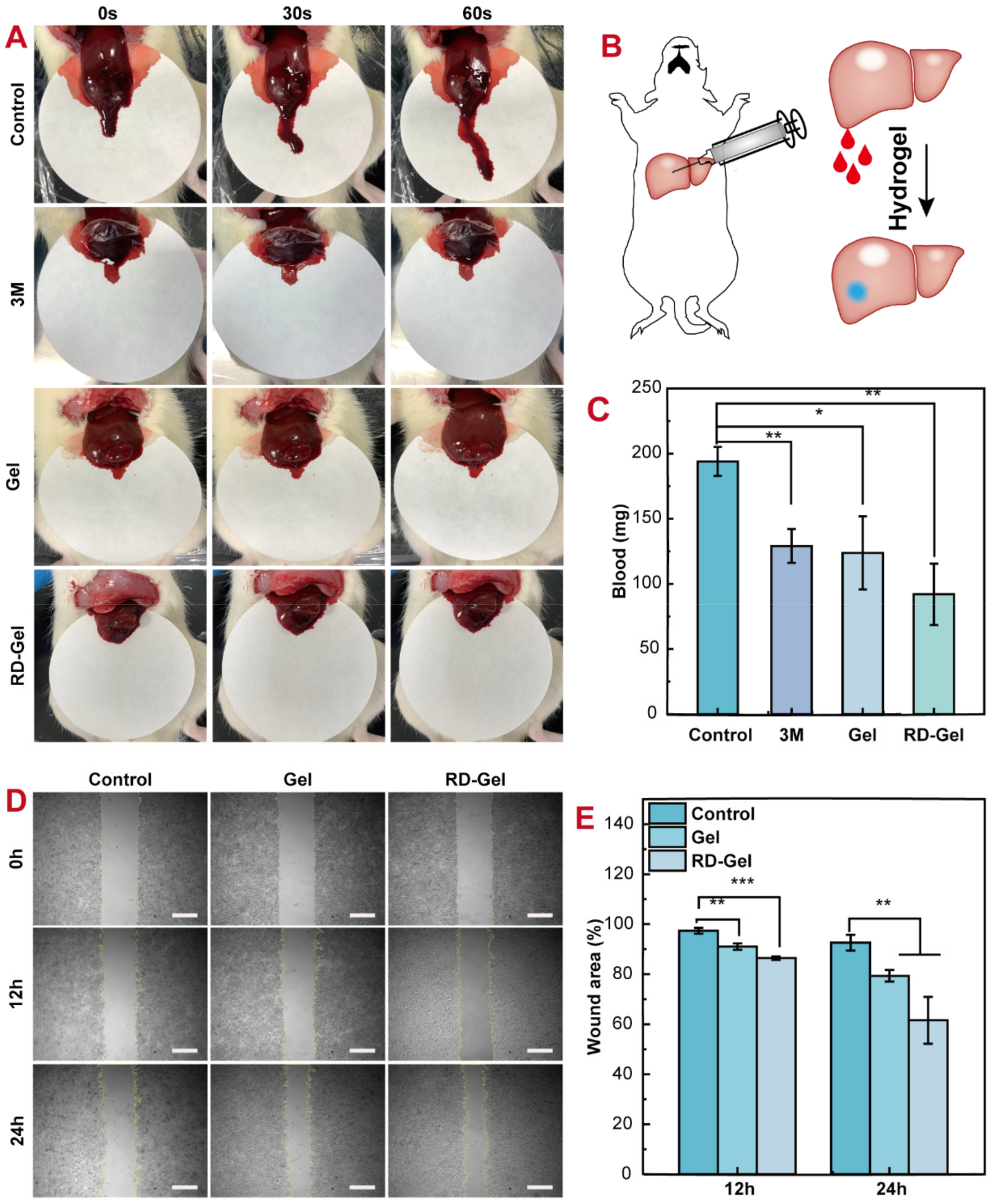 Pharmaceutics 14 02087 g004 Pharmaceutics 14 02087 g004