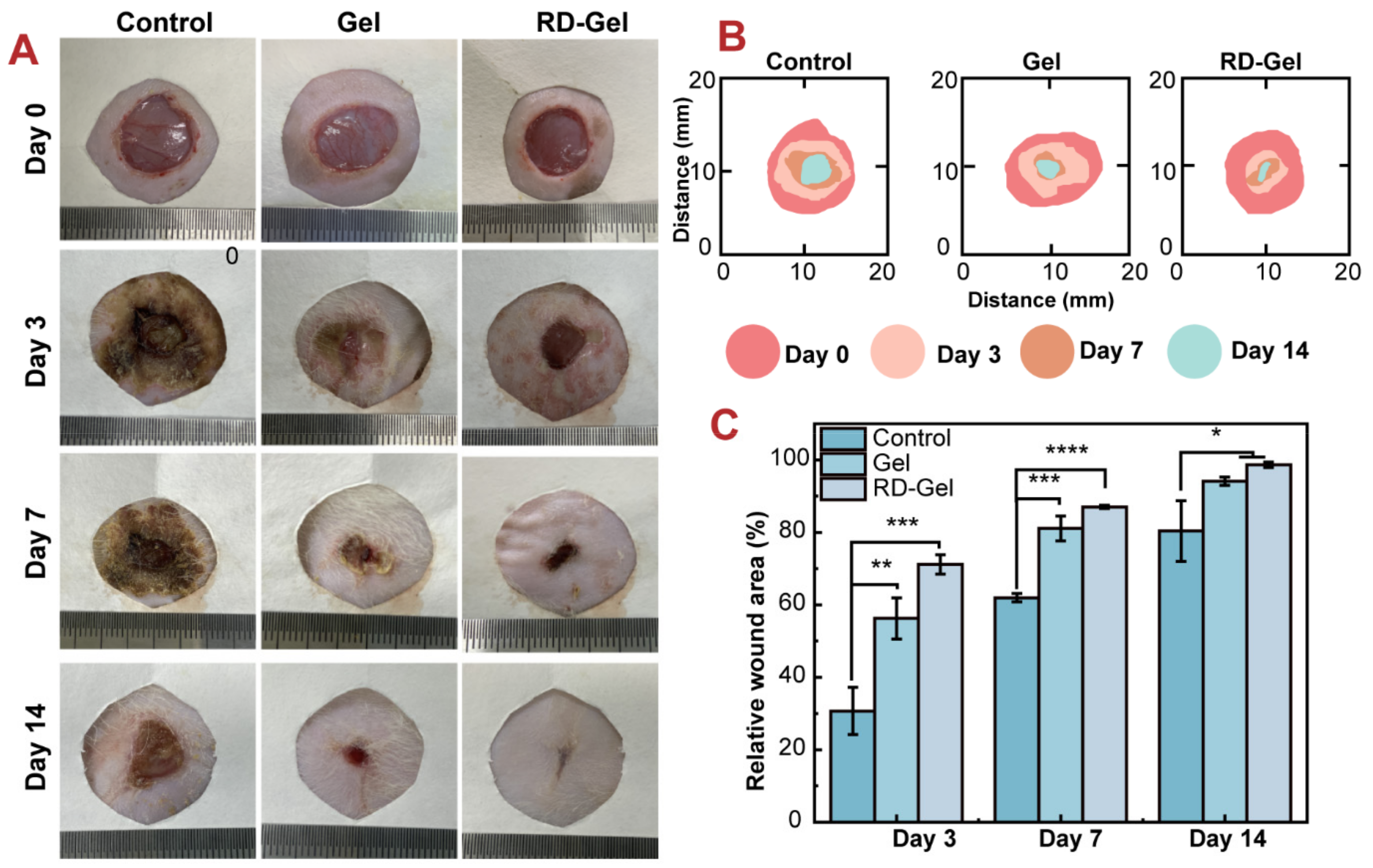 Pharmaceutics 14 02087 g005 Pharmaceutics 14 02087 g005