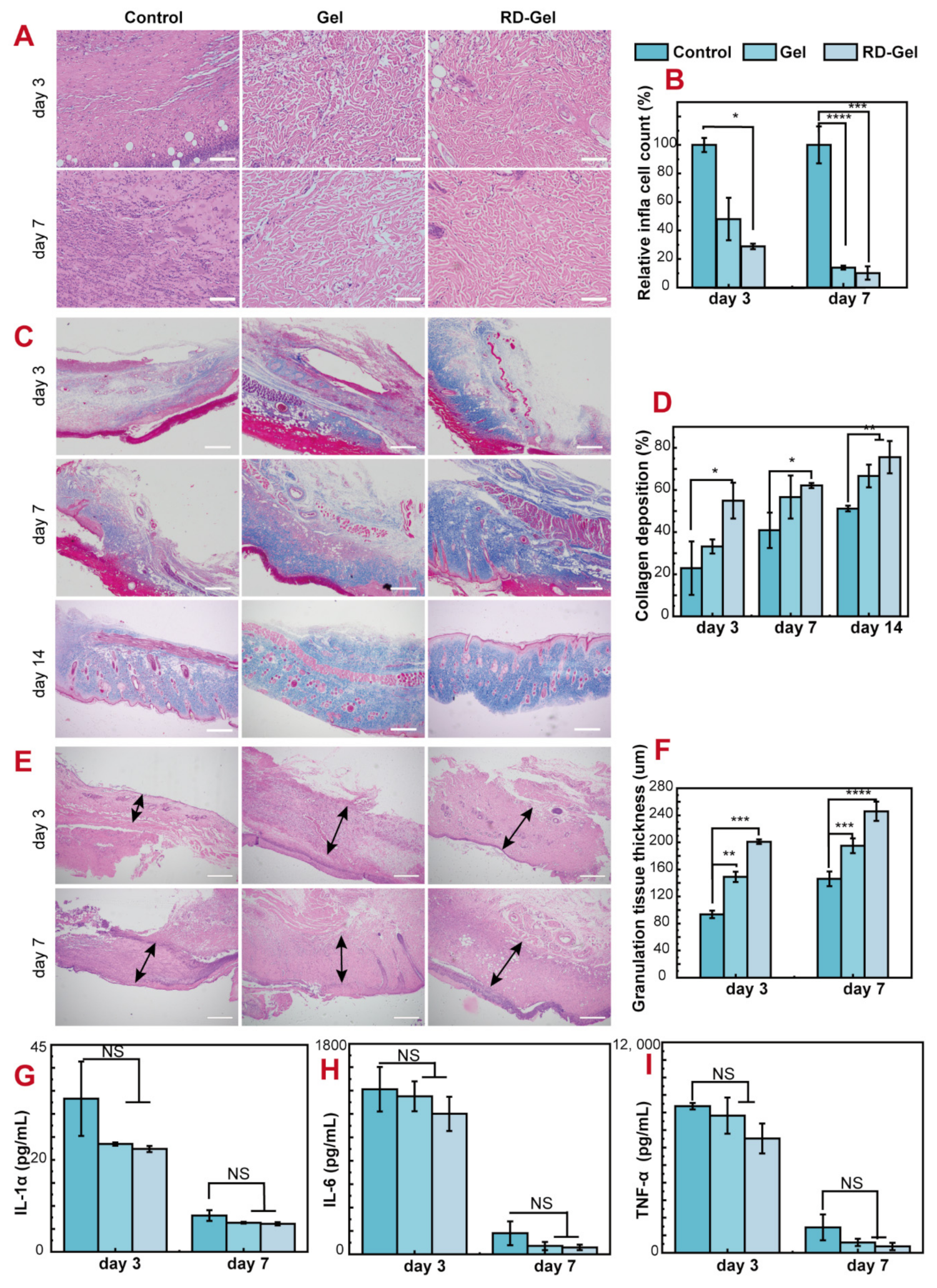 Pharmaceutics 14 02087 g006 Pharmaceutics 14 02087 g006