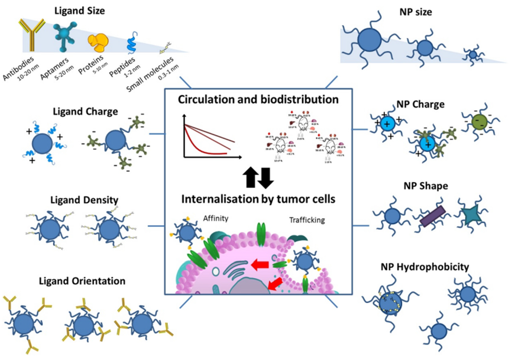 Pharmaceutics 14 02090 g004 Pharmaceutics 14 02090 g004