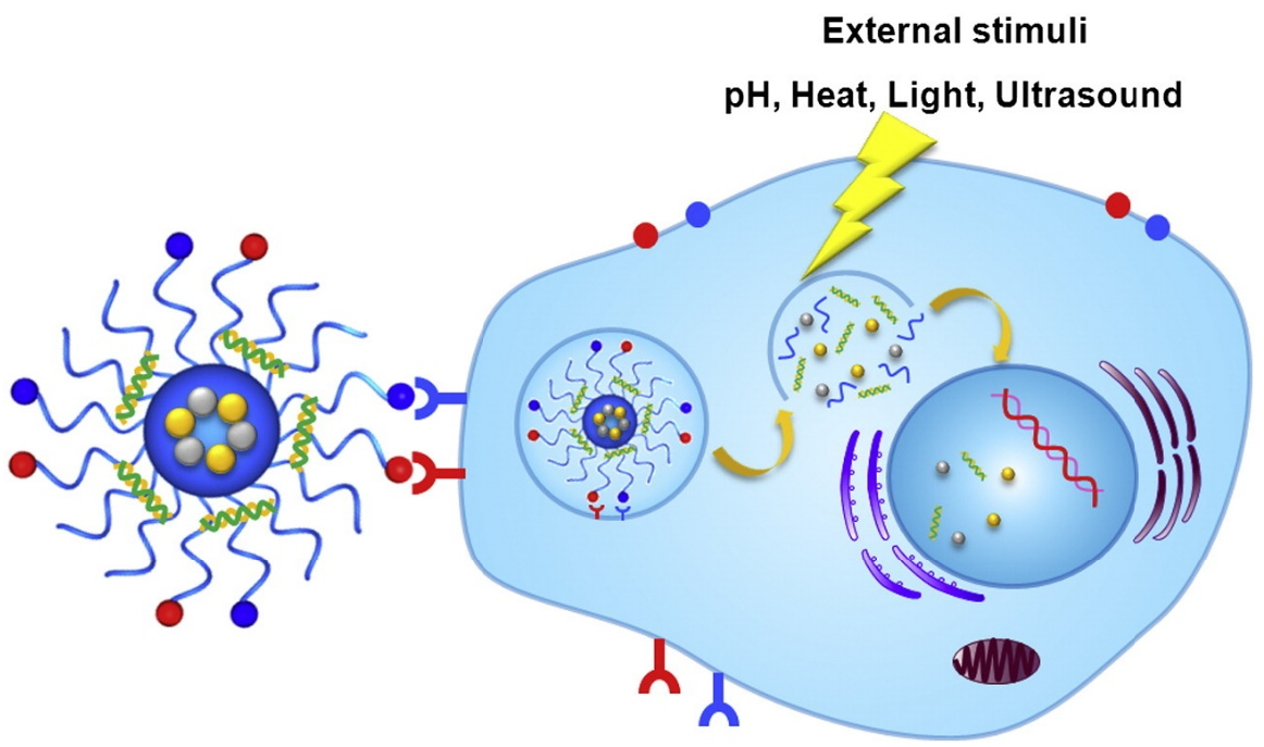 Pharmaceutics 14 02090 g005 Pharmaceutics 14 02090 g005