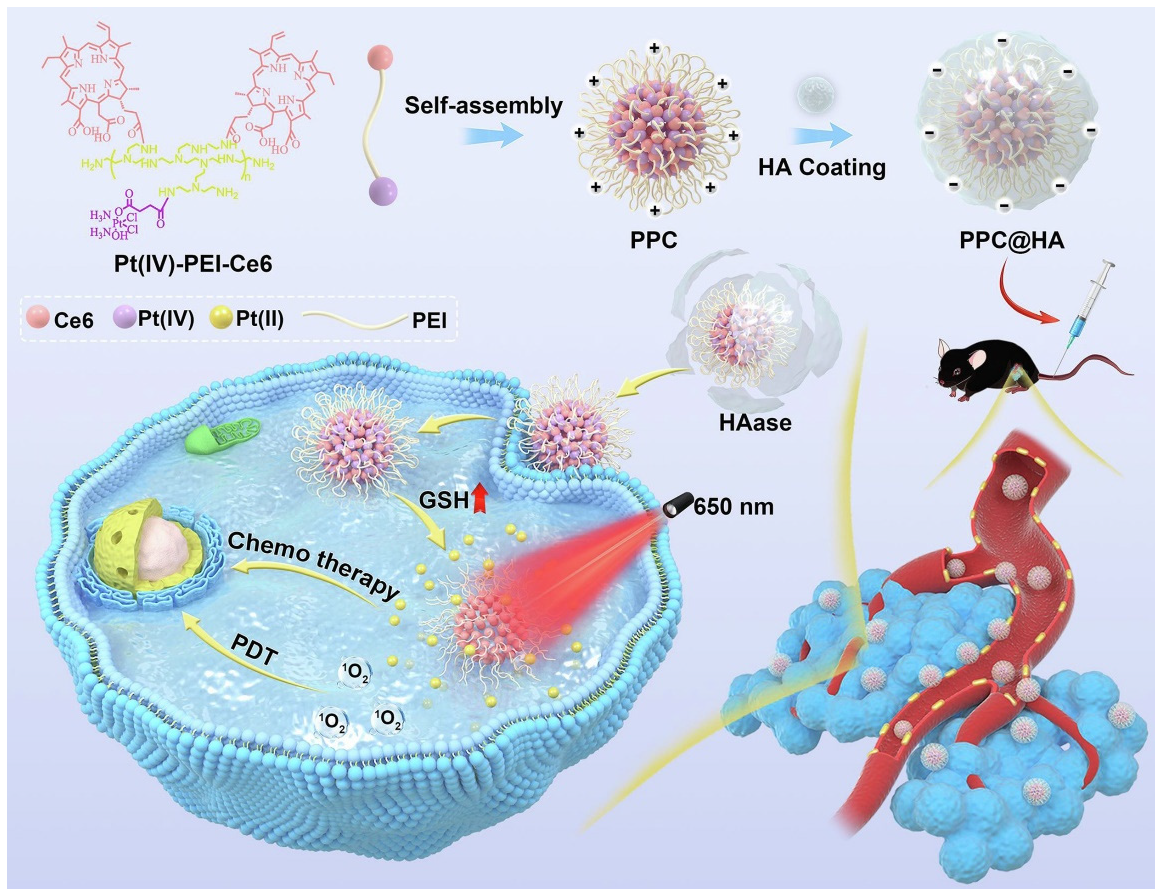 Pharmaceutics 14 02090 g007 Pharmaceutics 14 02090 g007