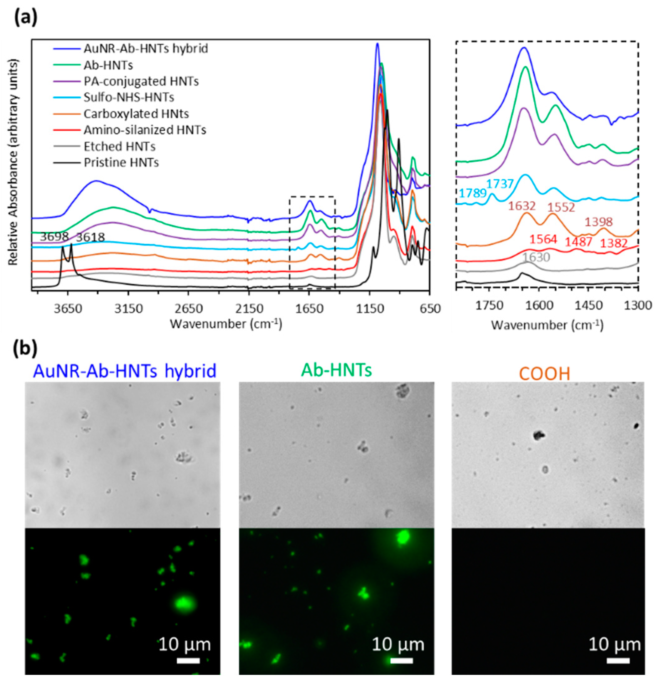 Pharmaceutics 14 02094 g001 550