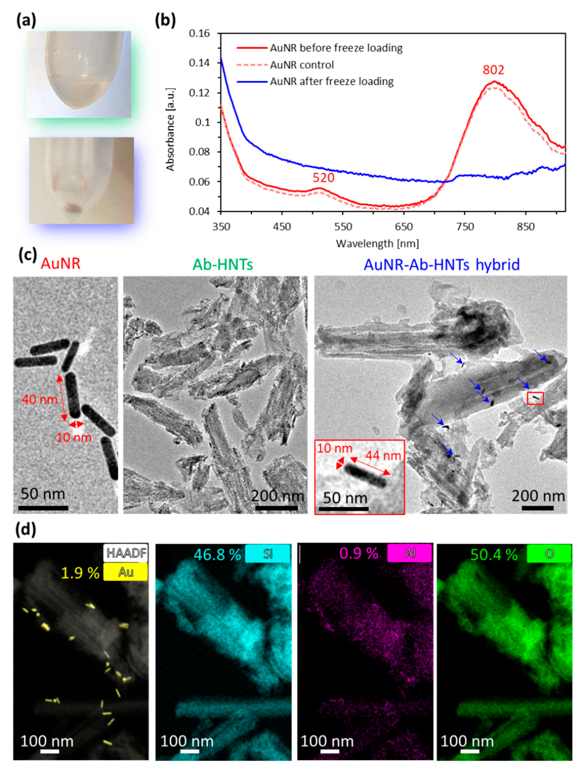 Pharmaceutics 14 02094 g002 550