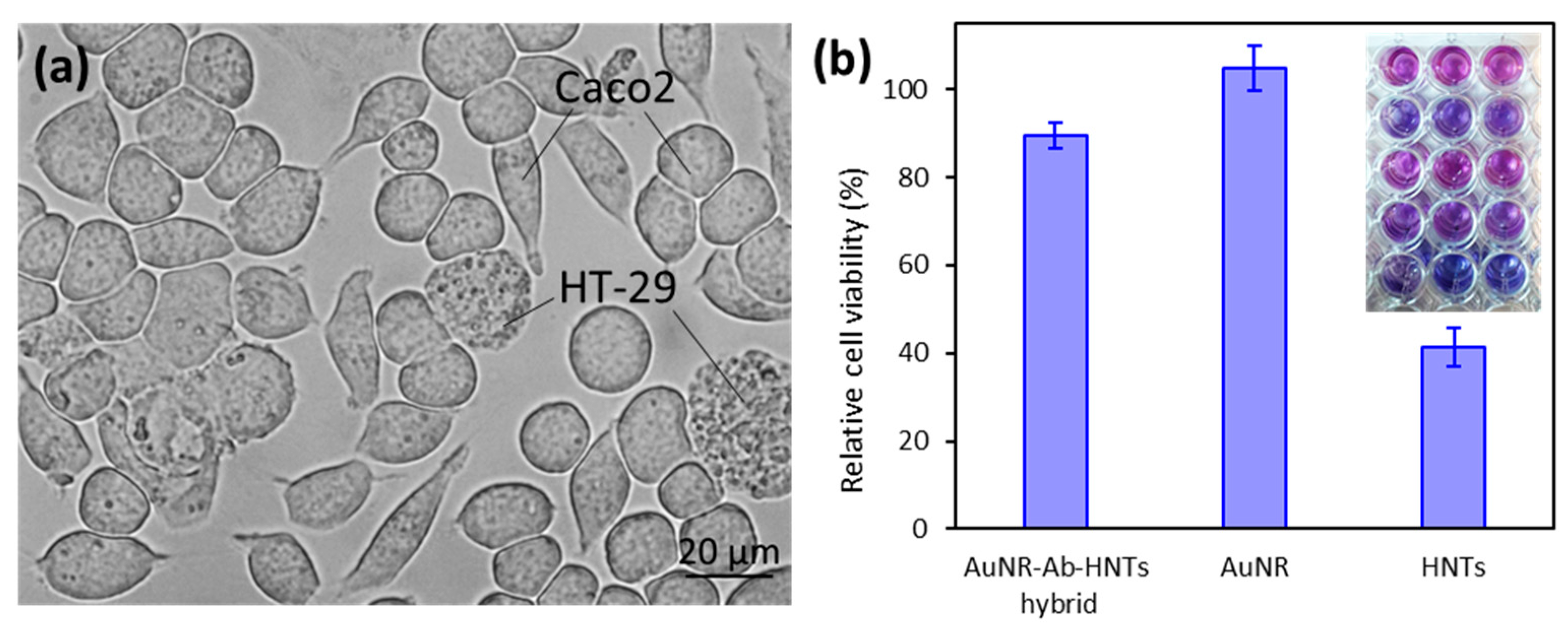 Pharmaceutics 14 02094 g003 550