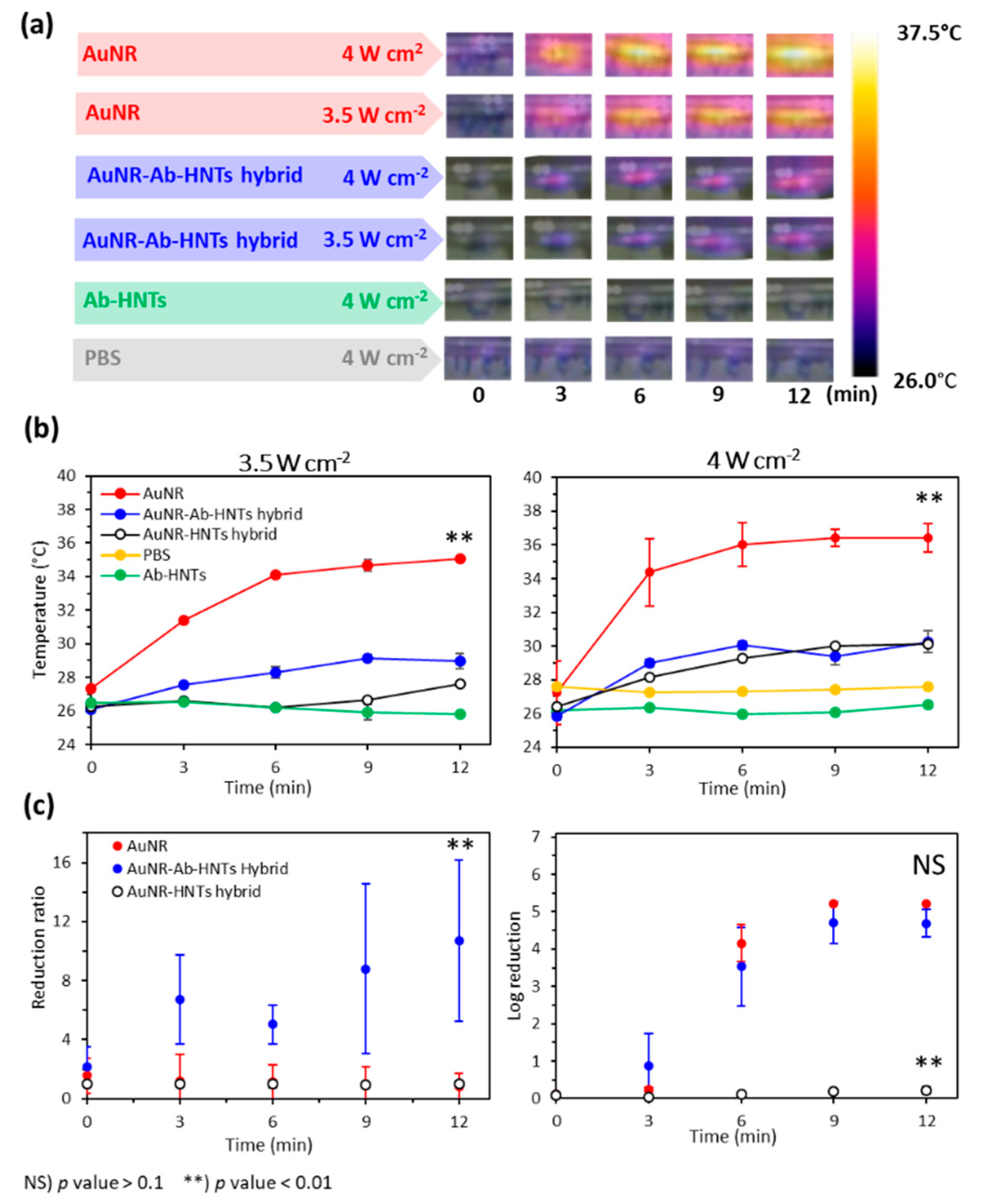 Pharmaceutics 14 02094 g004 550