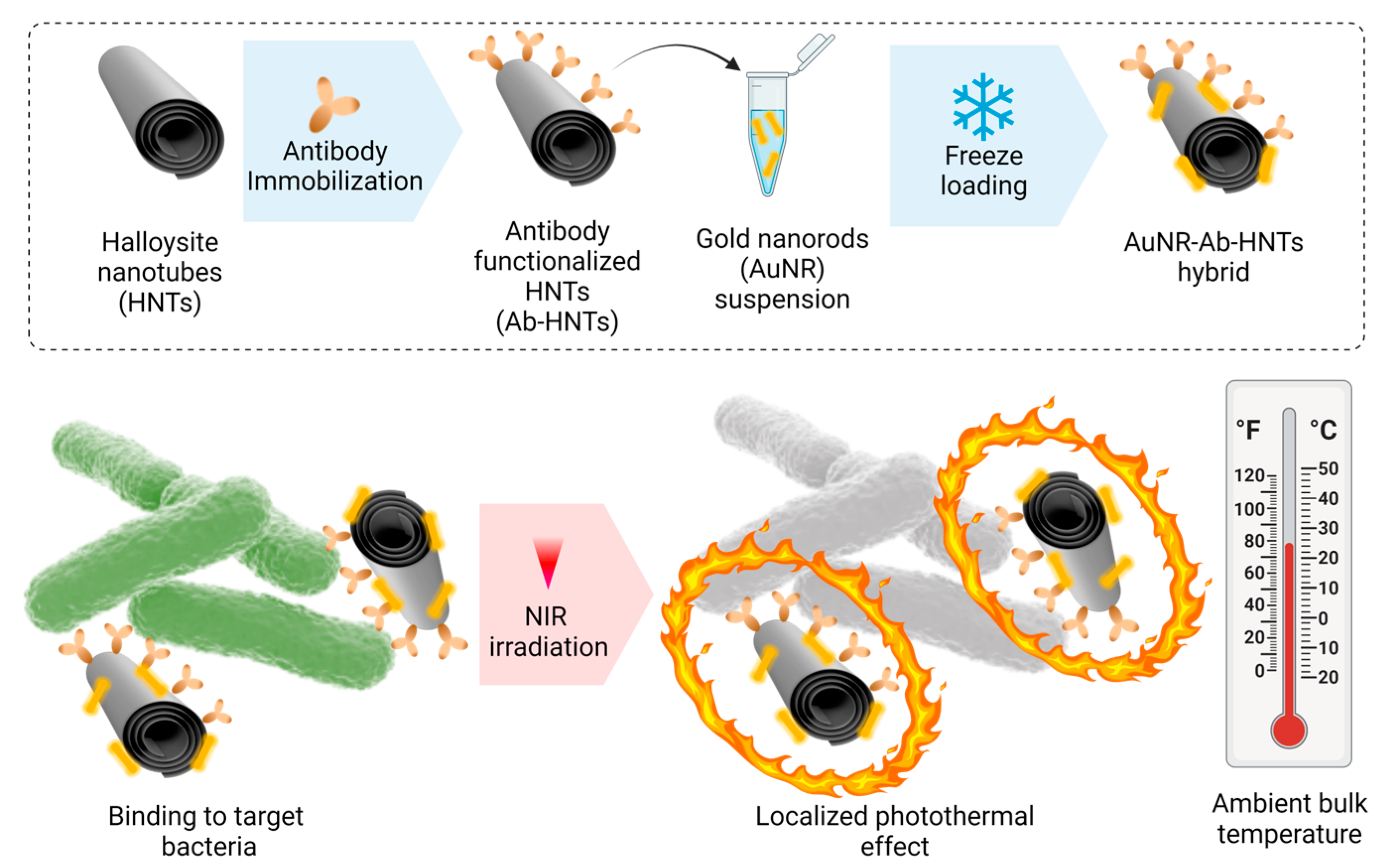 Pharmaceutics 14 02094 sch001 550