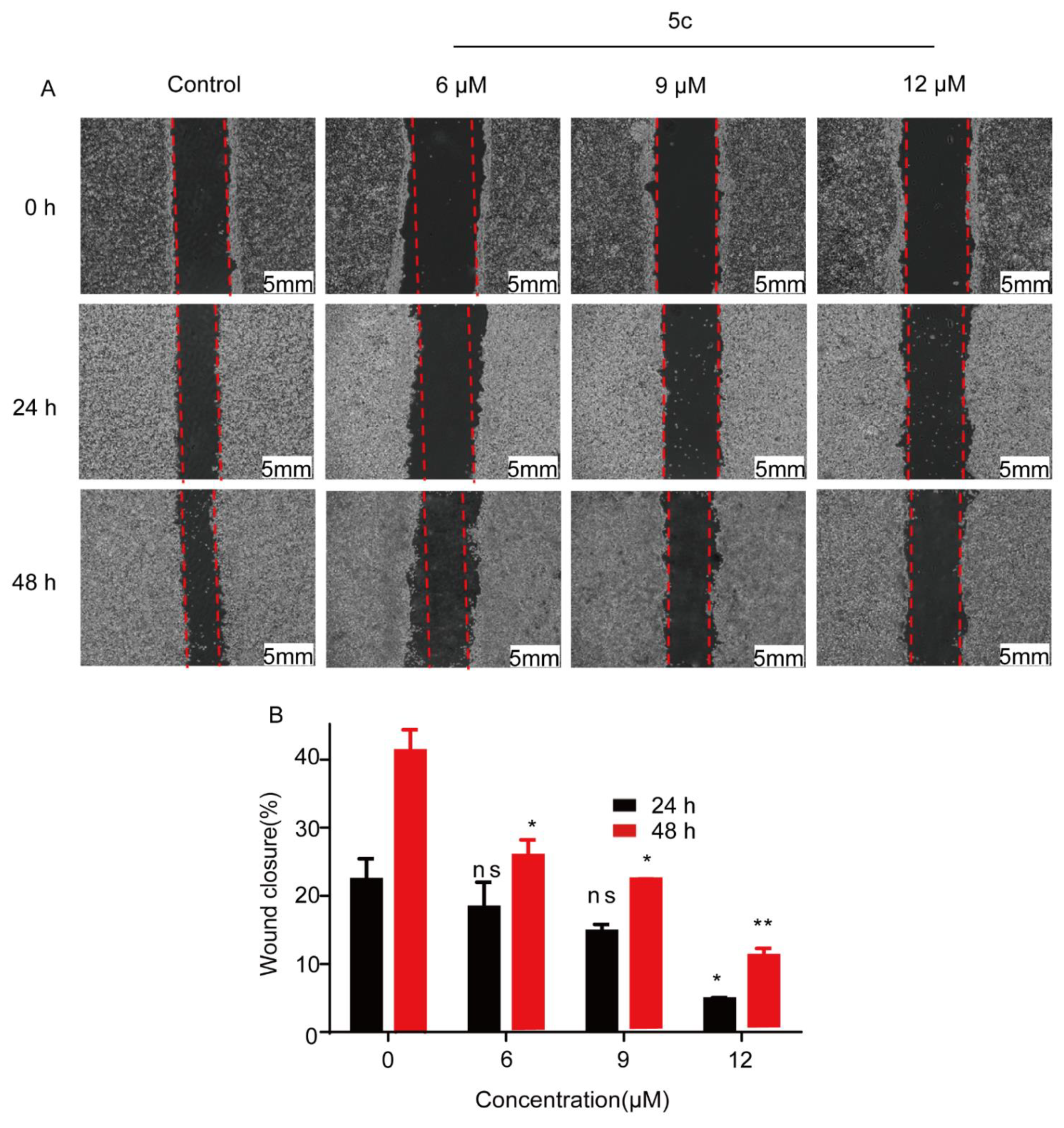 Pharmaceutics 14 02104 g004 Pharmaceutics 14 02104 g004
