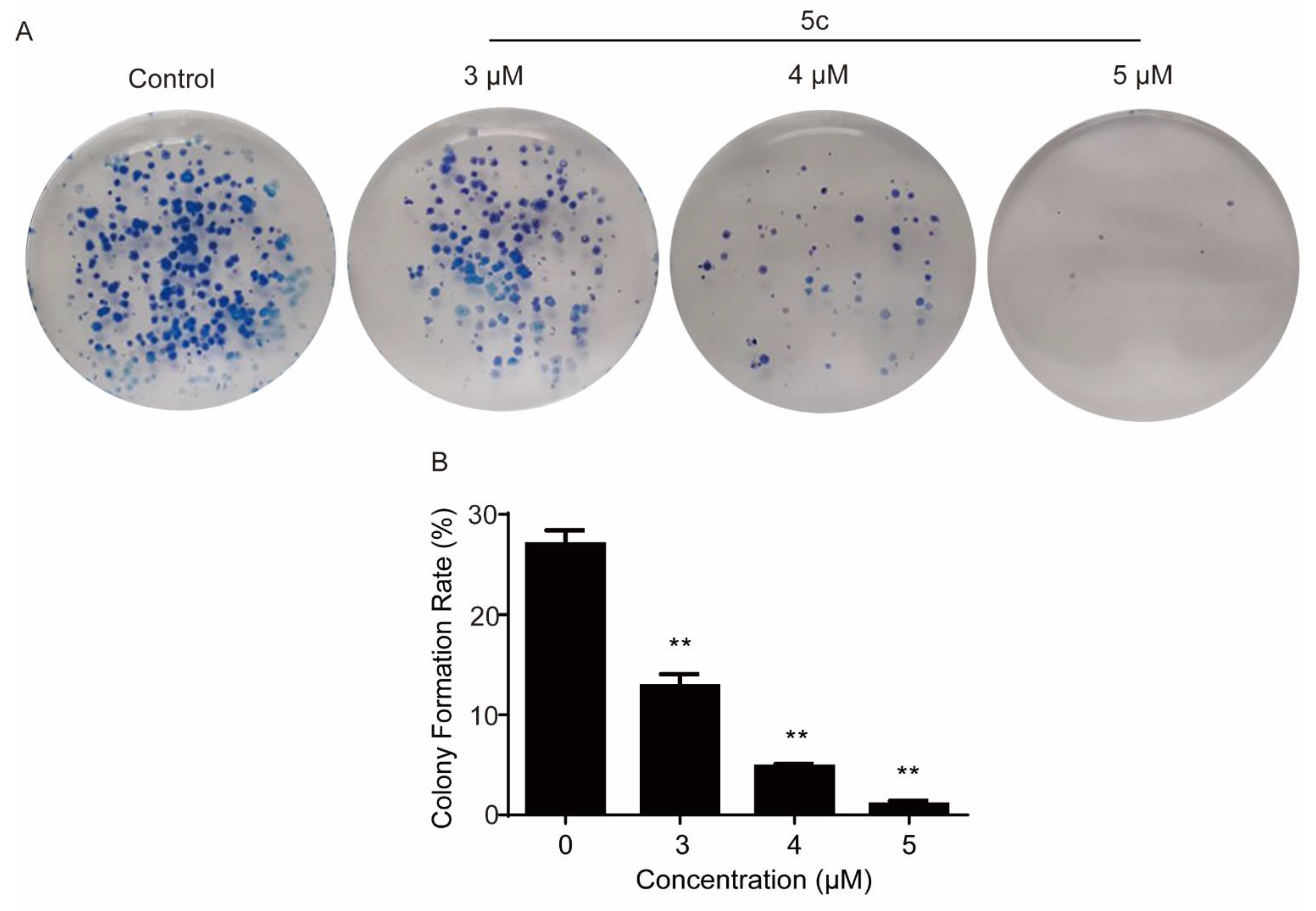Pharmaceutics 14 02104 g005 Pharmaceutics 14 02104 g005