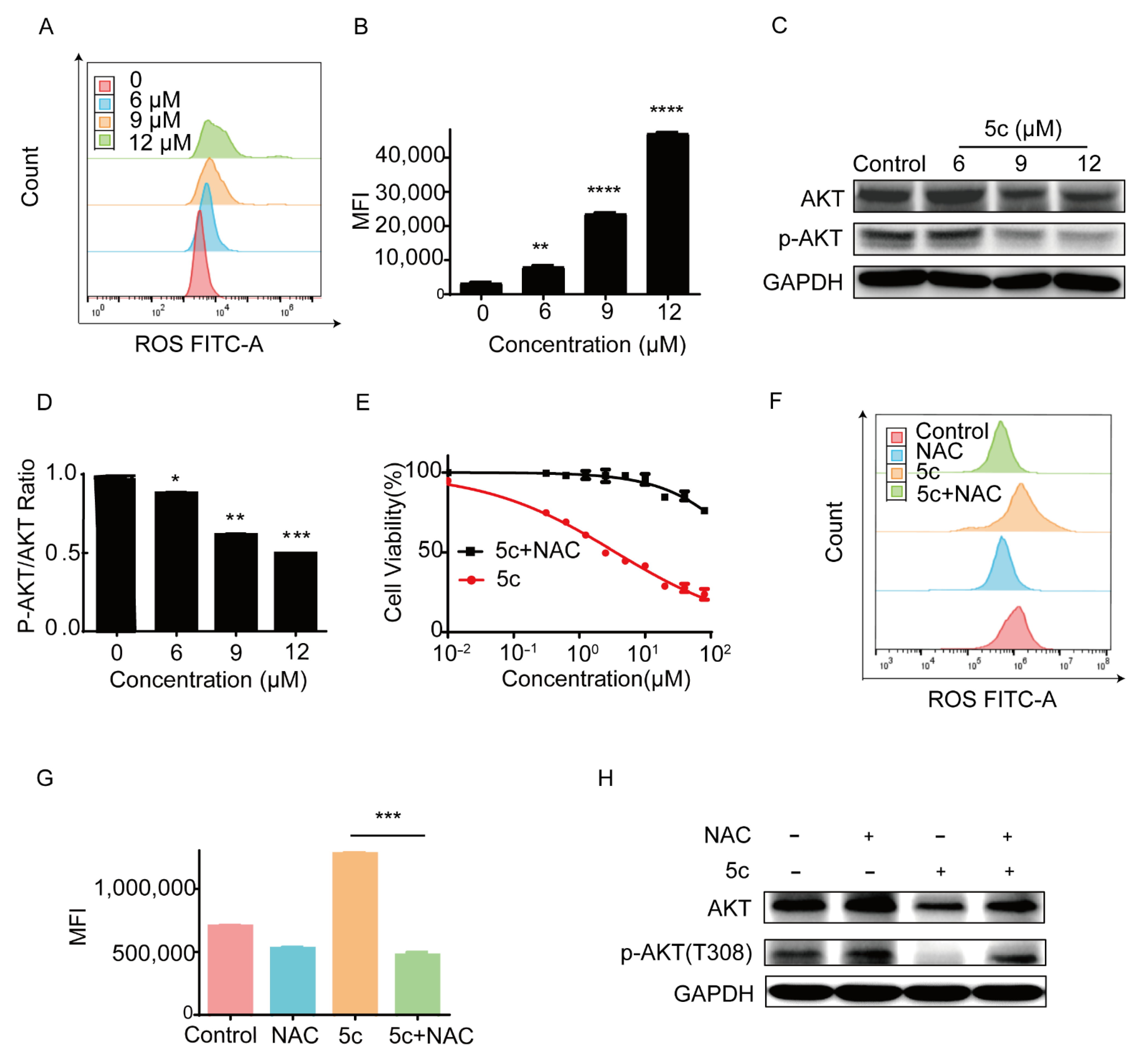 Pharmaceutics 14 02104 g007 Pharmaceutics 14 02104 g007