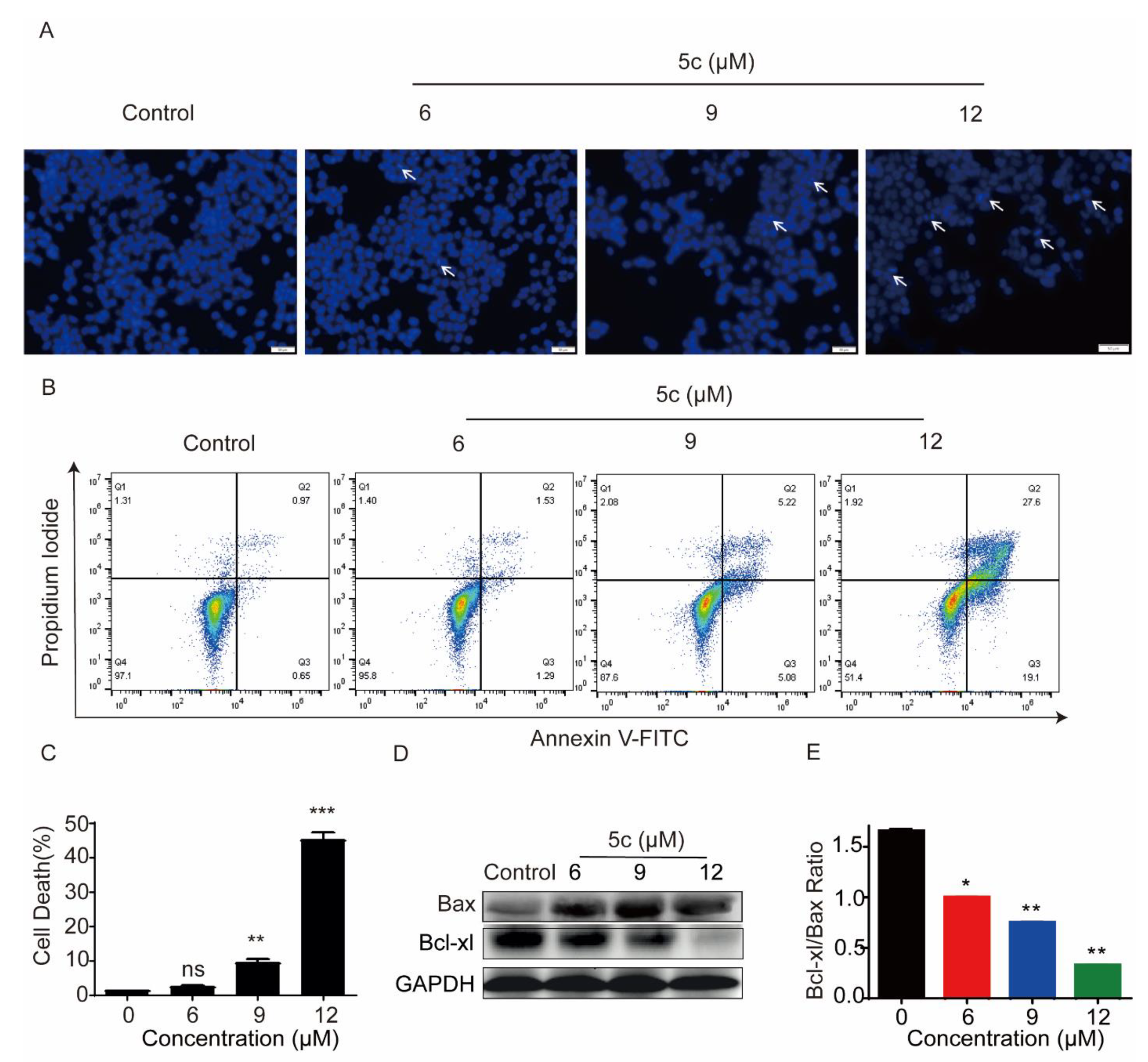 Pharmaceutics 14 02104 g008 Pharmaceutics 14 02104 g008