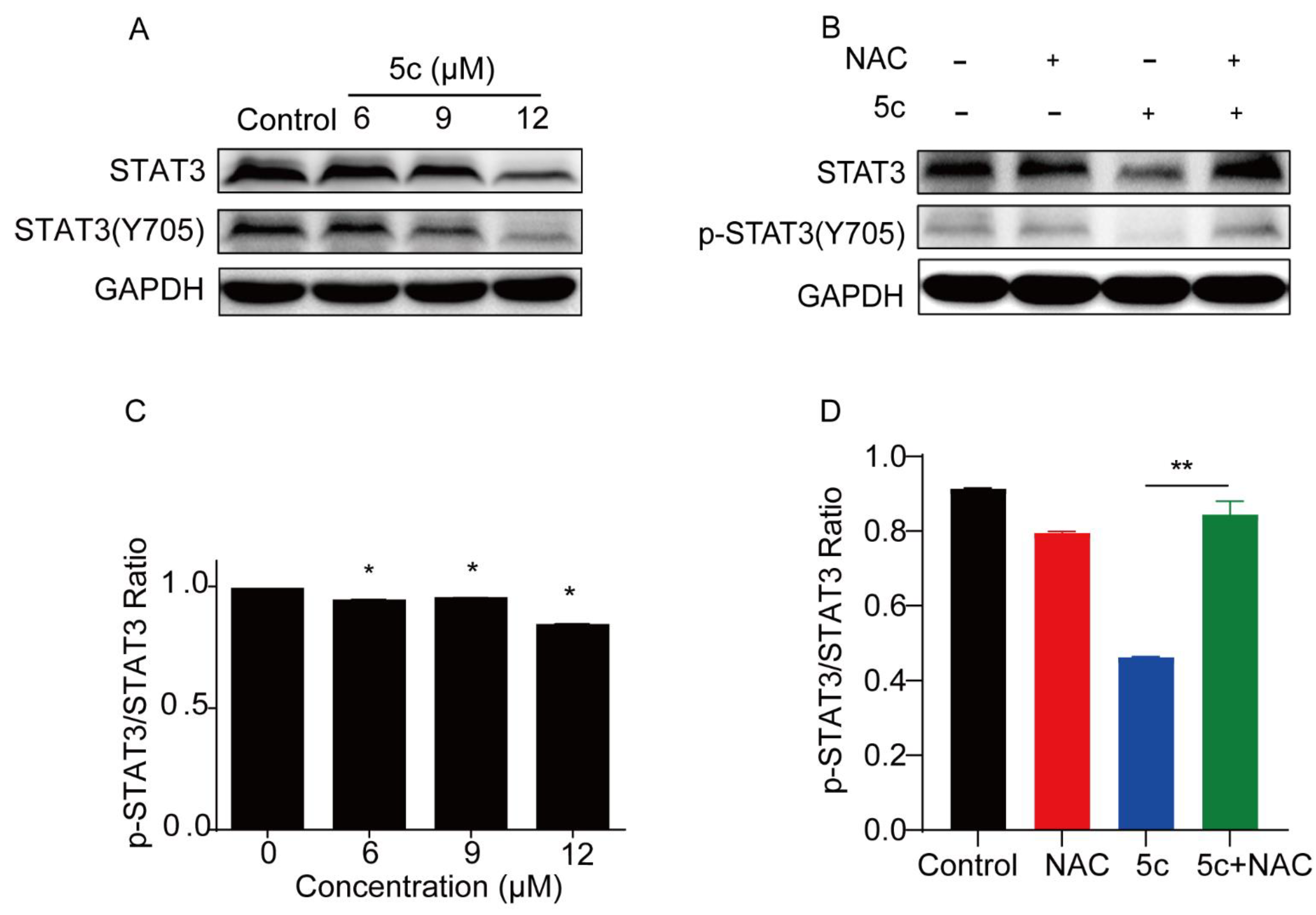 Pharmaceutics 14 02104 g009 Pharmaceutics 14 02104 g009