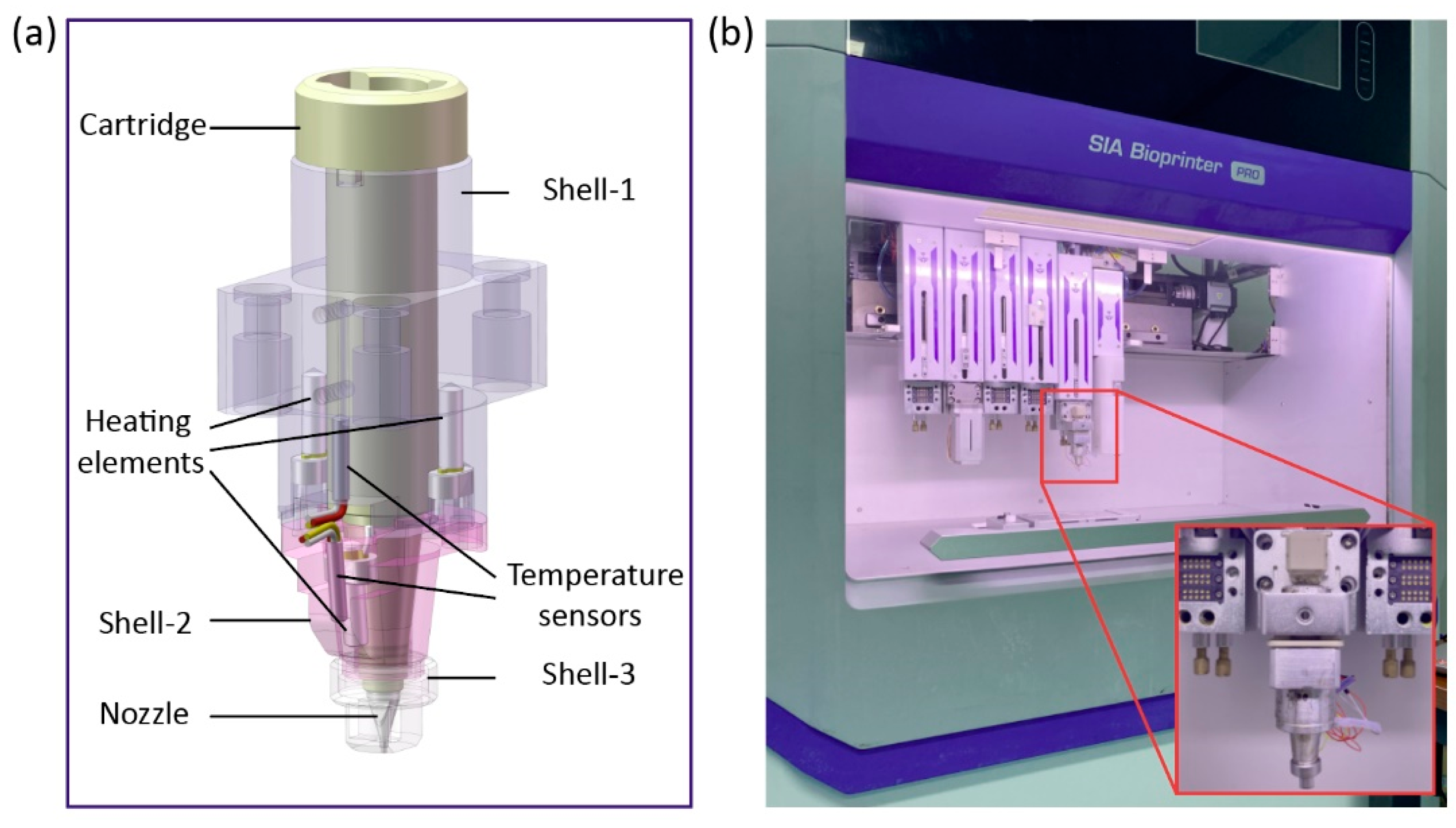 Pharmaceutics 14 02108 g001 Pharmaceutics 14 02108 g001