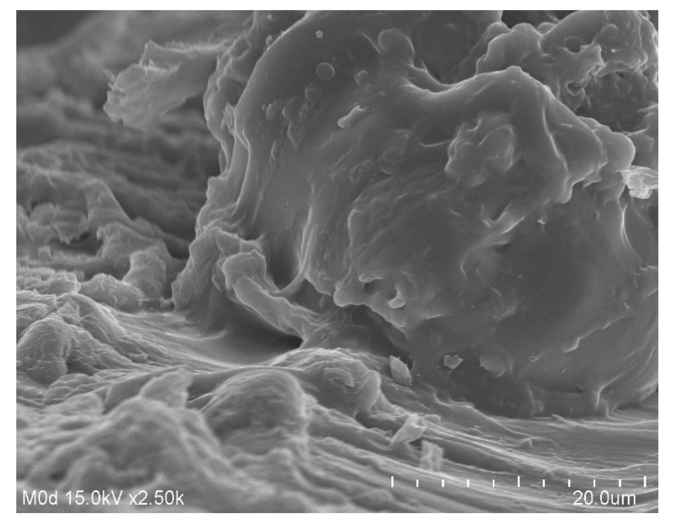 Pharmaceutics 14 02110 g006