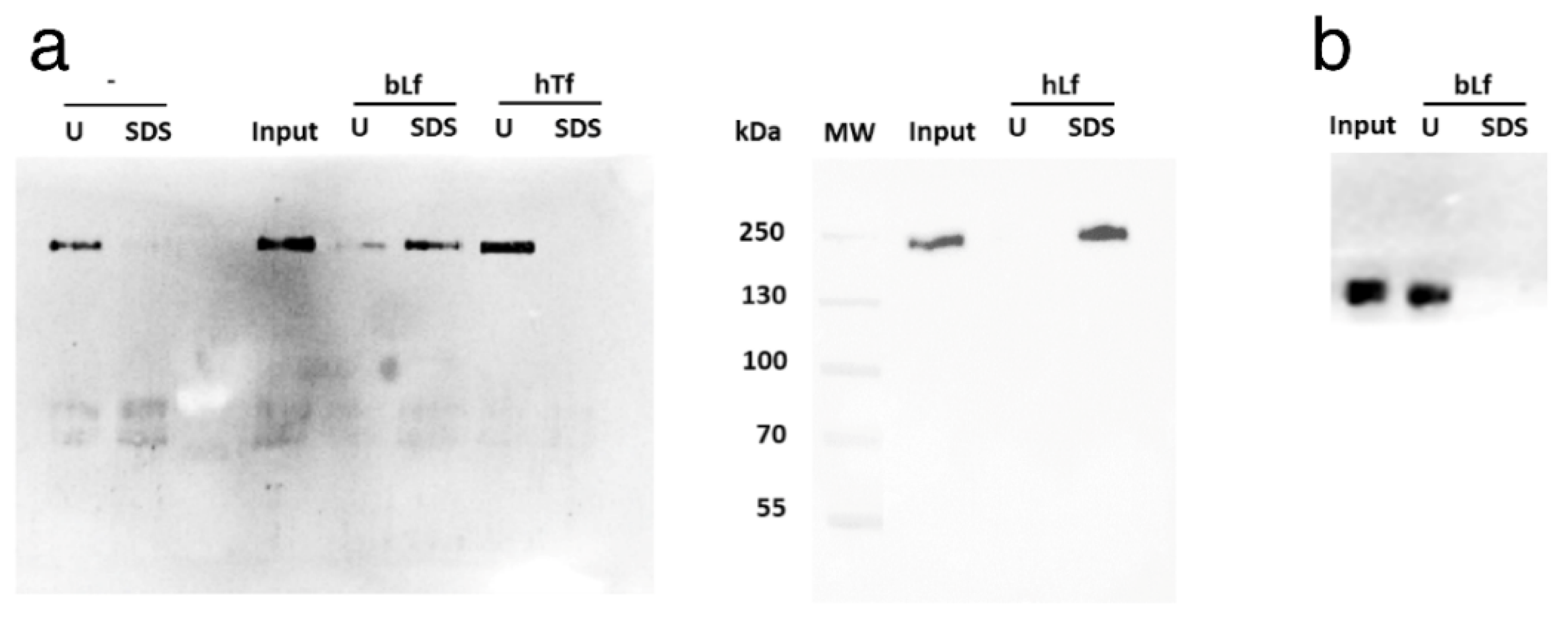 Pharmaceutics 14 02111 g003 Pharmaceutics 14 02111 g003